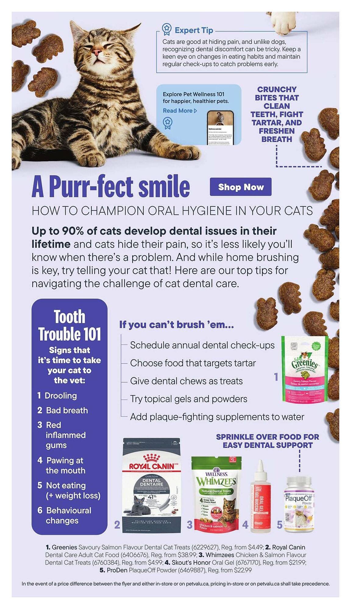 Petvalu flyer (2026-02-01 - 2026-03-01) | 5