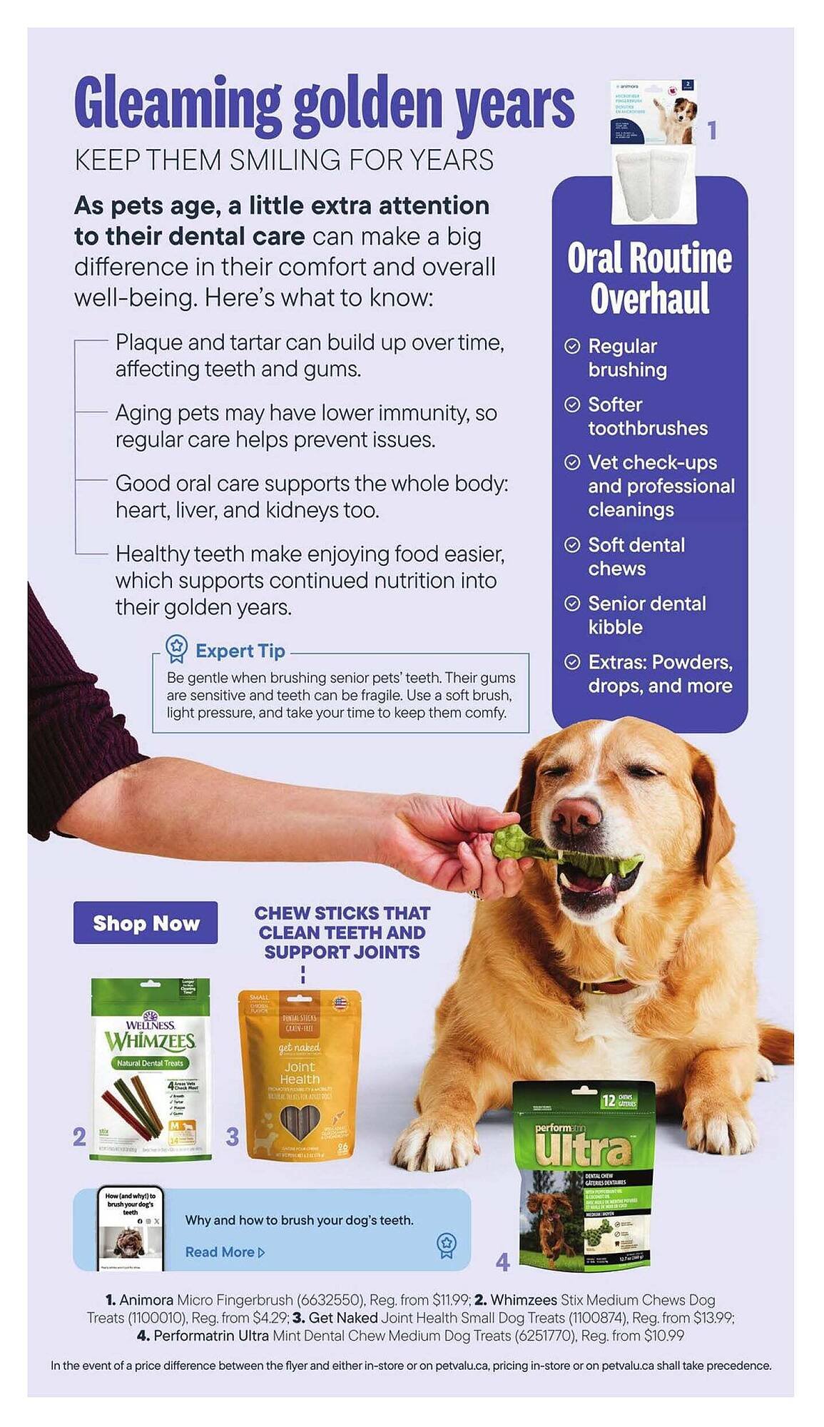 Petvalu flyer (2026-02-01 - 2026-03-01) | 6