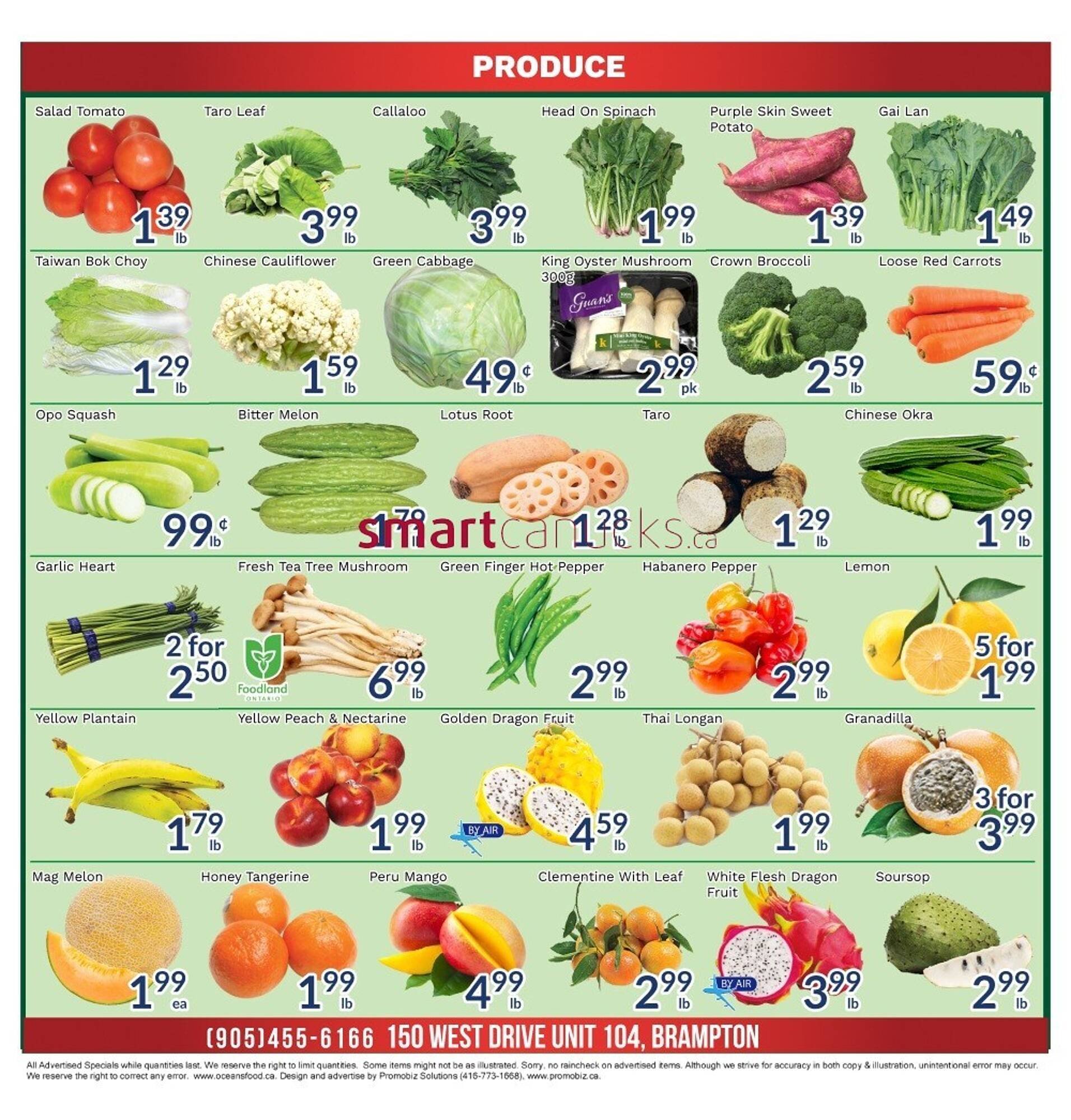 Oceans Fresh Food Market flyer (2026-02-13 - 2026-02-19) | 3
