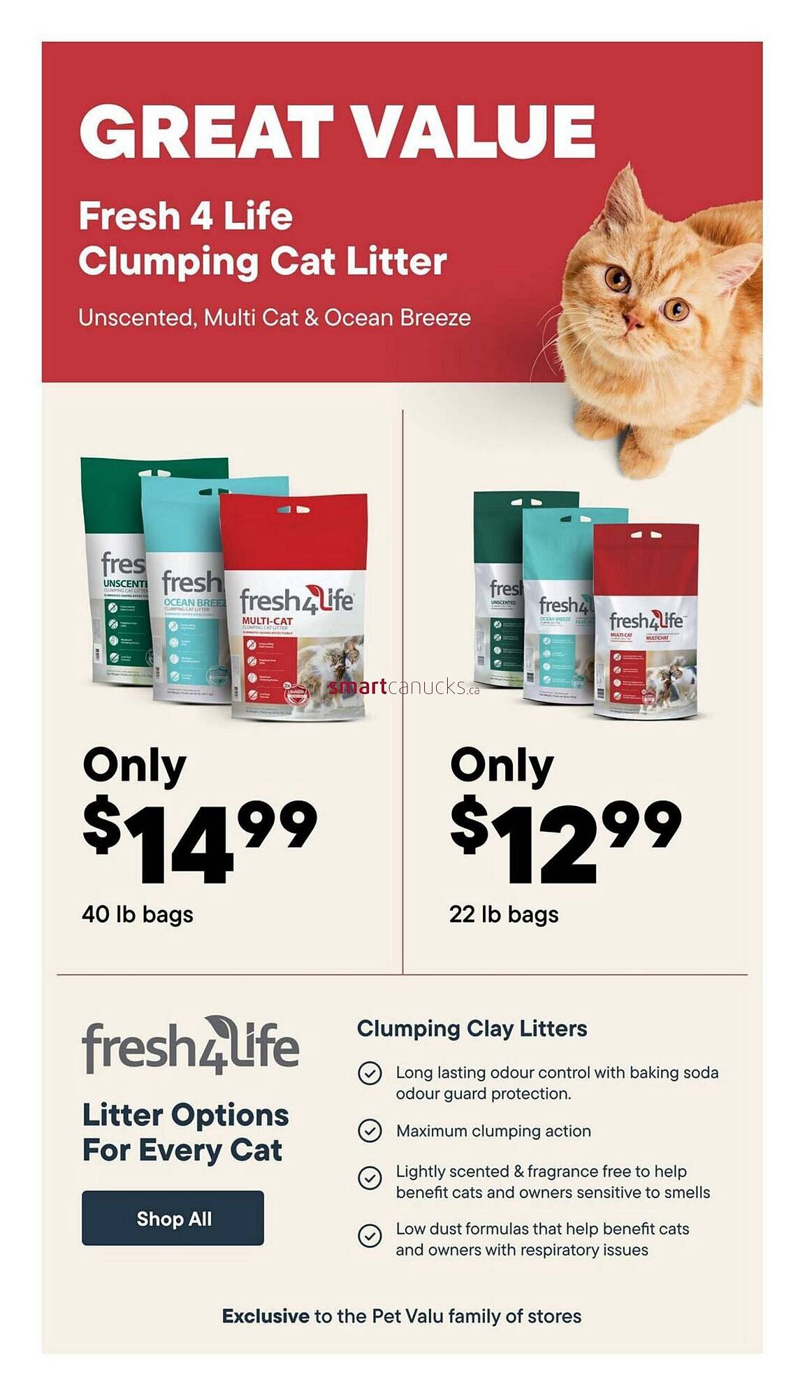 Petvalu flyer