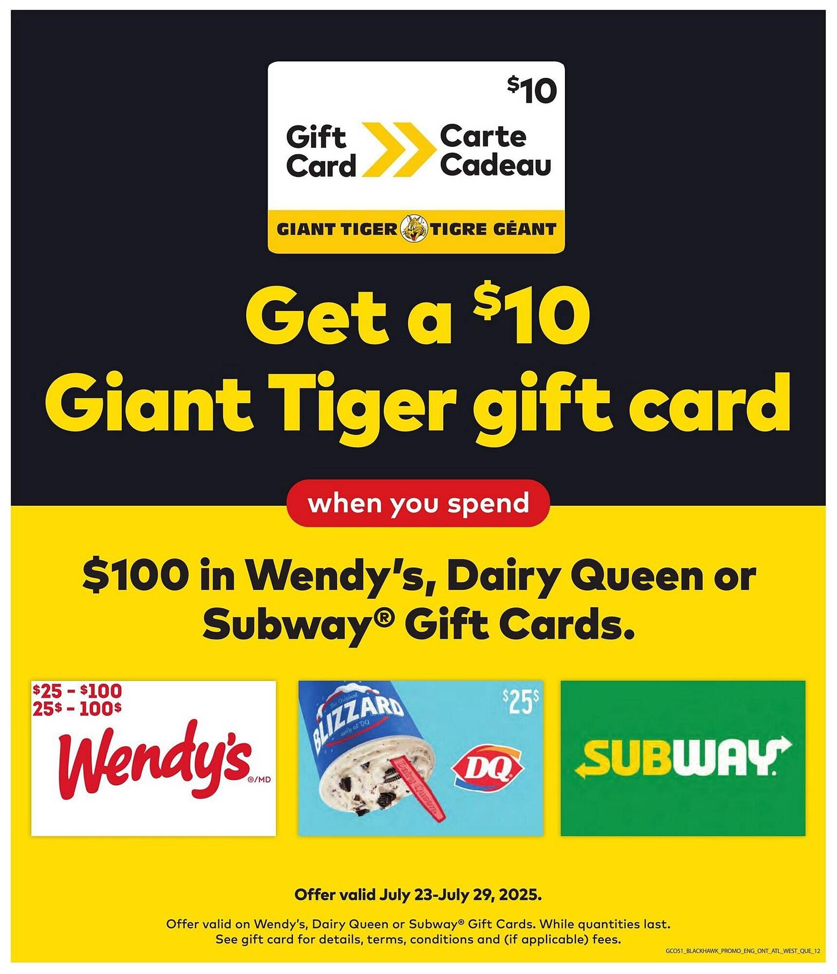 Giant Tiger flyer