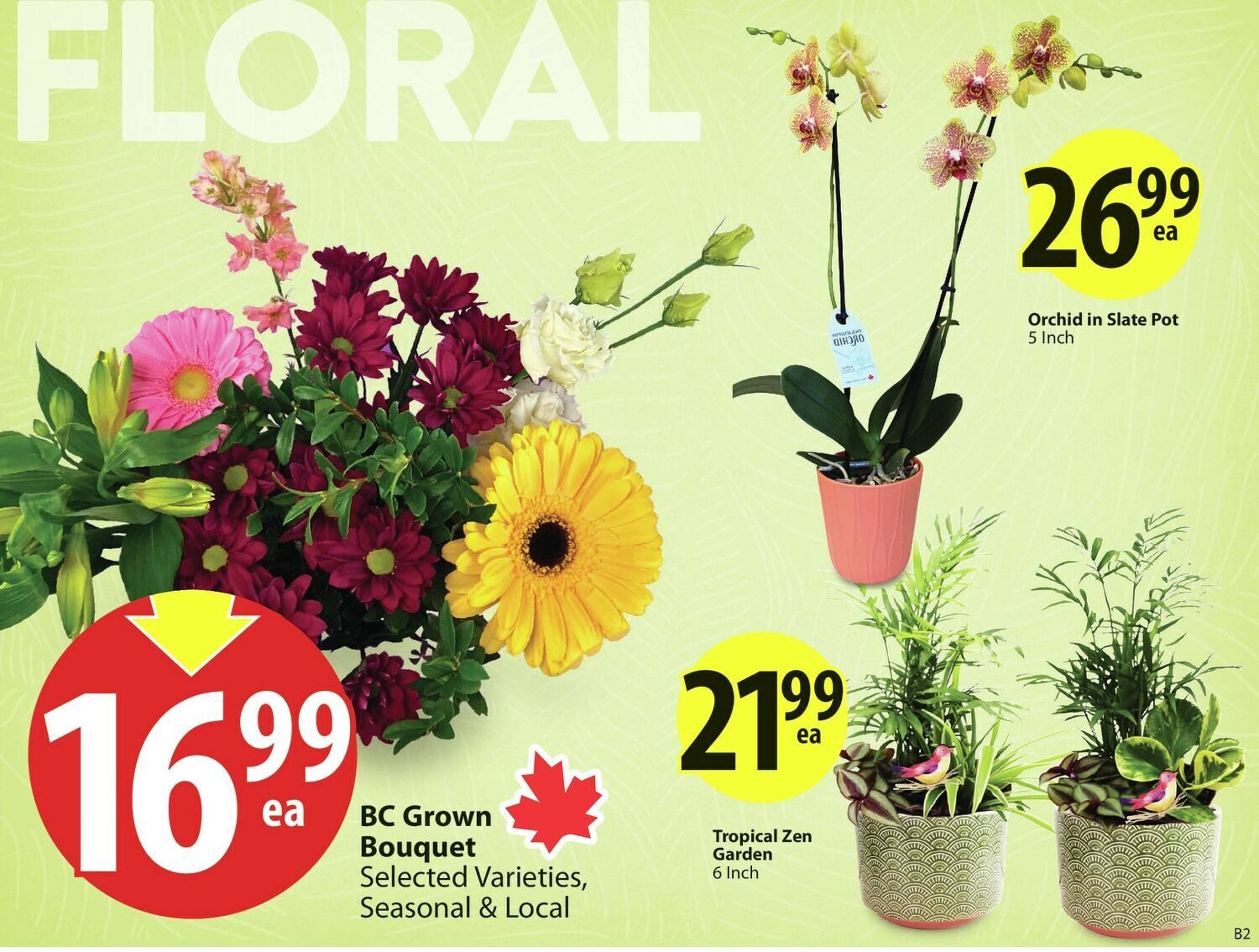 Save on Foods flyer