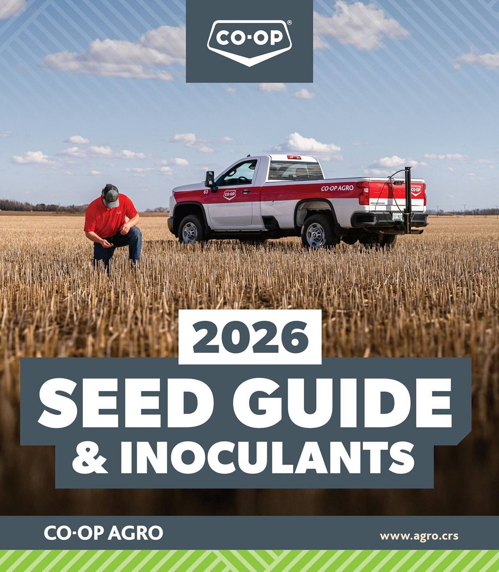 Co-op flyer (2025-08-07 - 2026-01-23) | 1