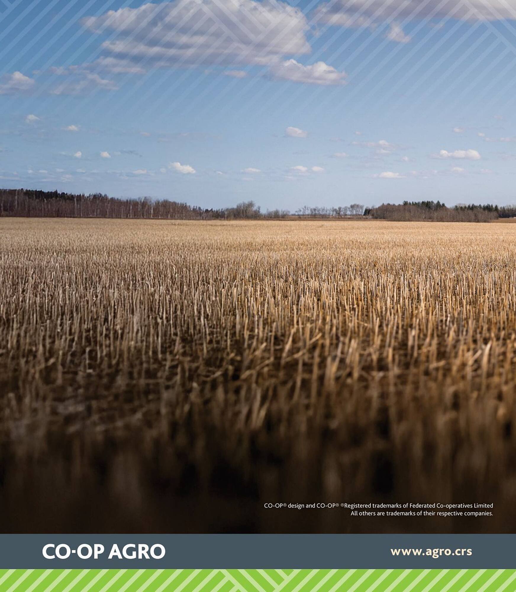 Co-op flyer