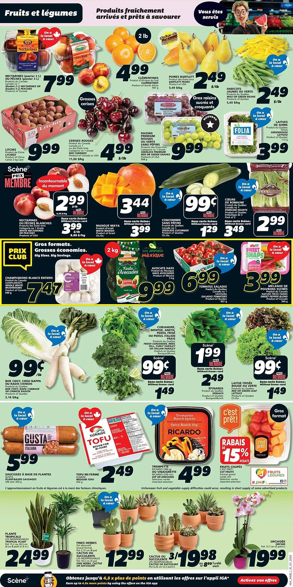IGA flyer