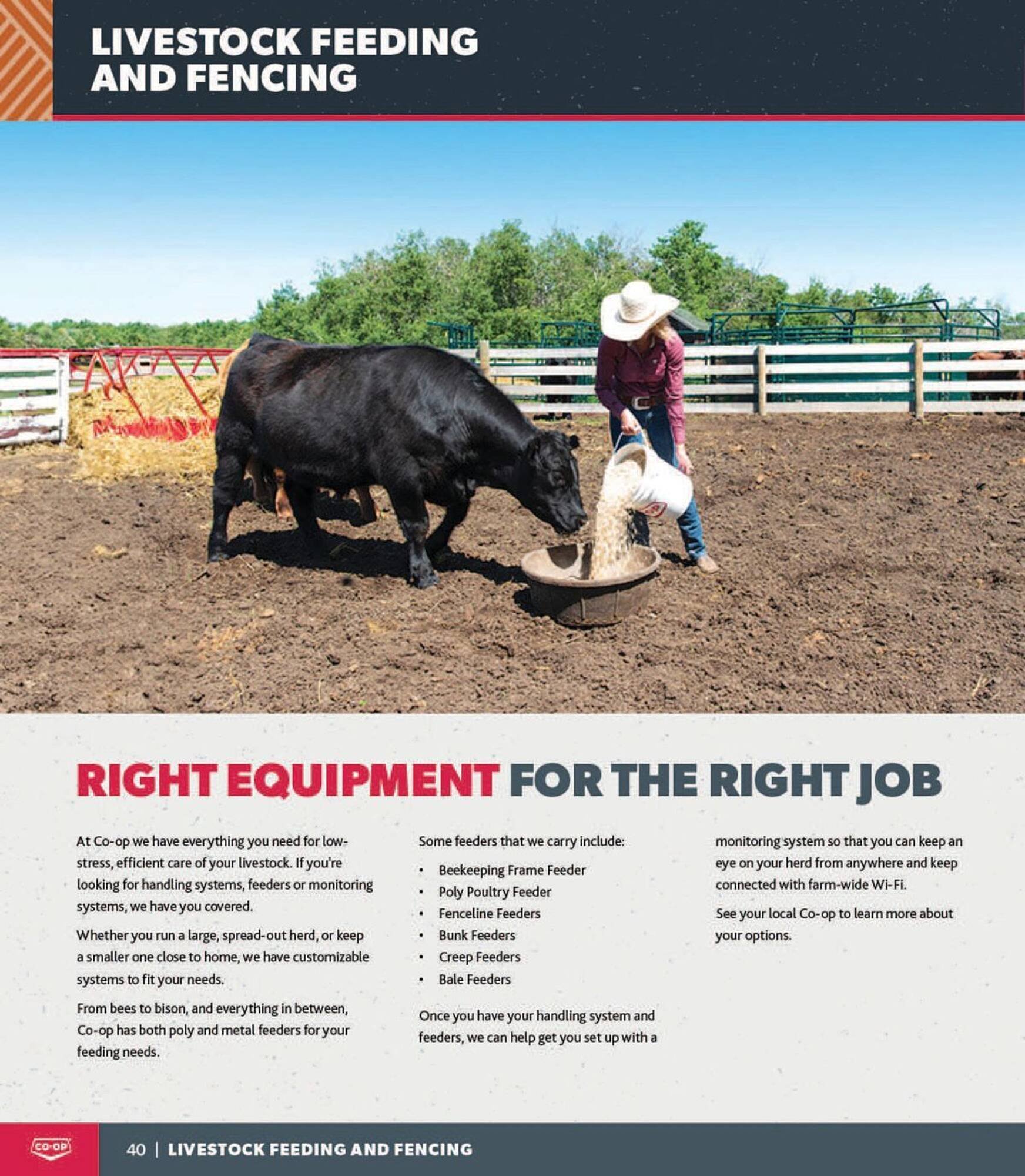 Co-Op Food flyer