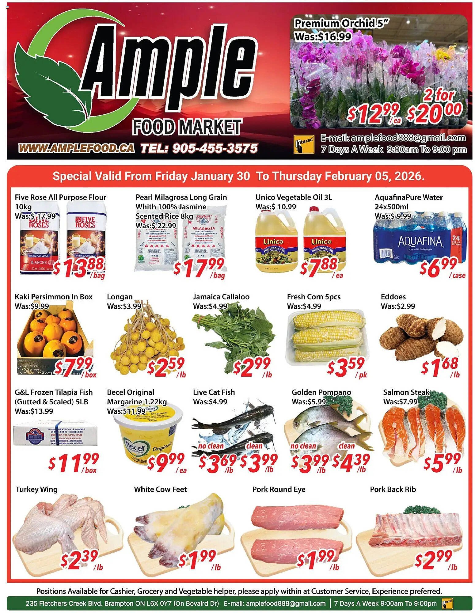 Ample Food Market flyer (2026-01-30 - 2026-02-05) | 1