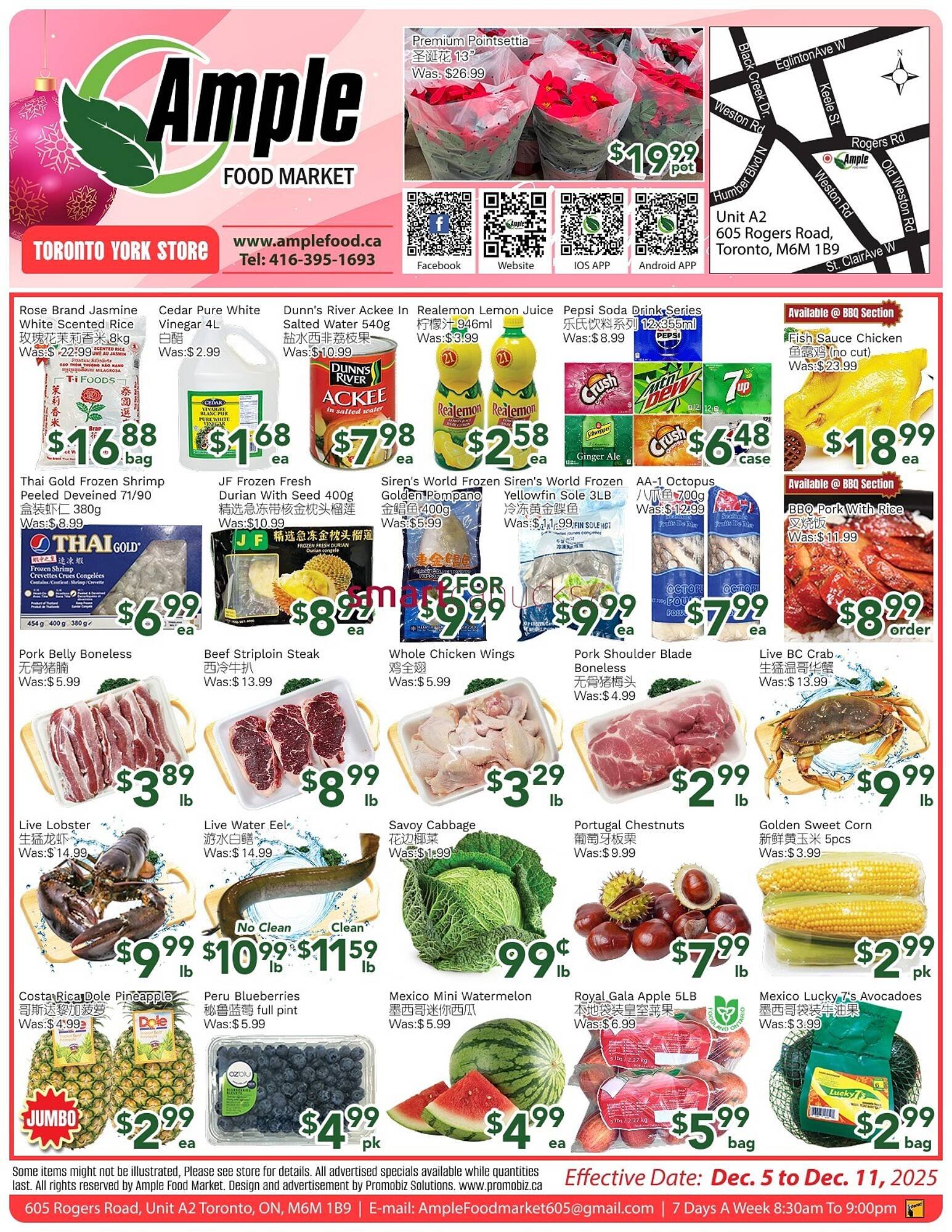 Ample Food Market flyer (2025-12-05 - 2025-12-11) | 1