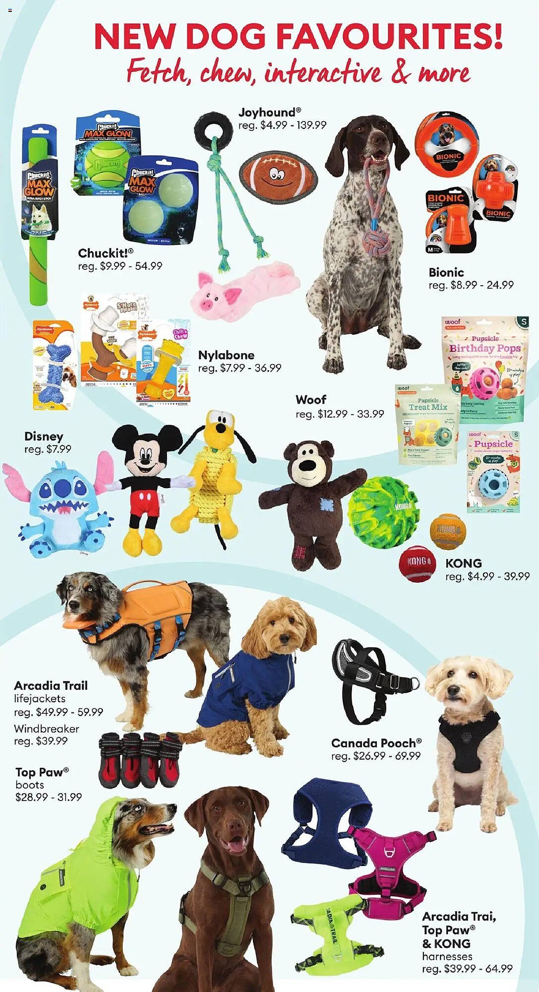 Petsmart flyer
