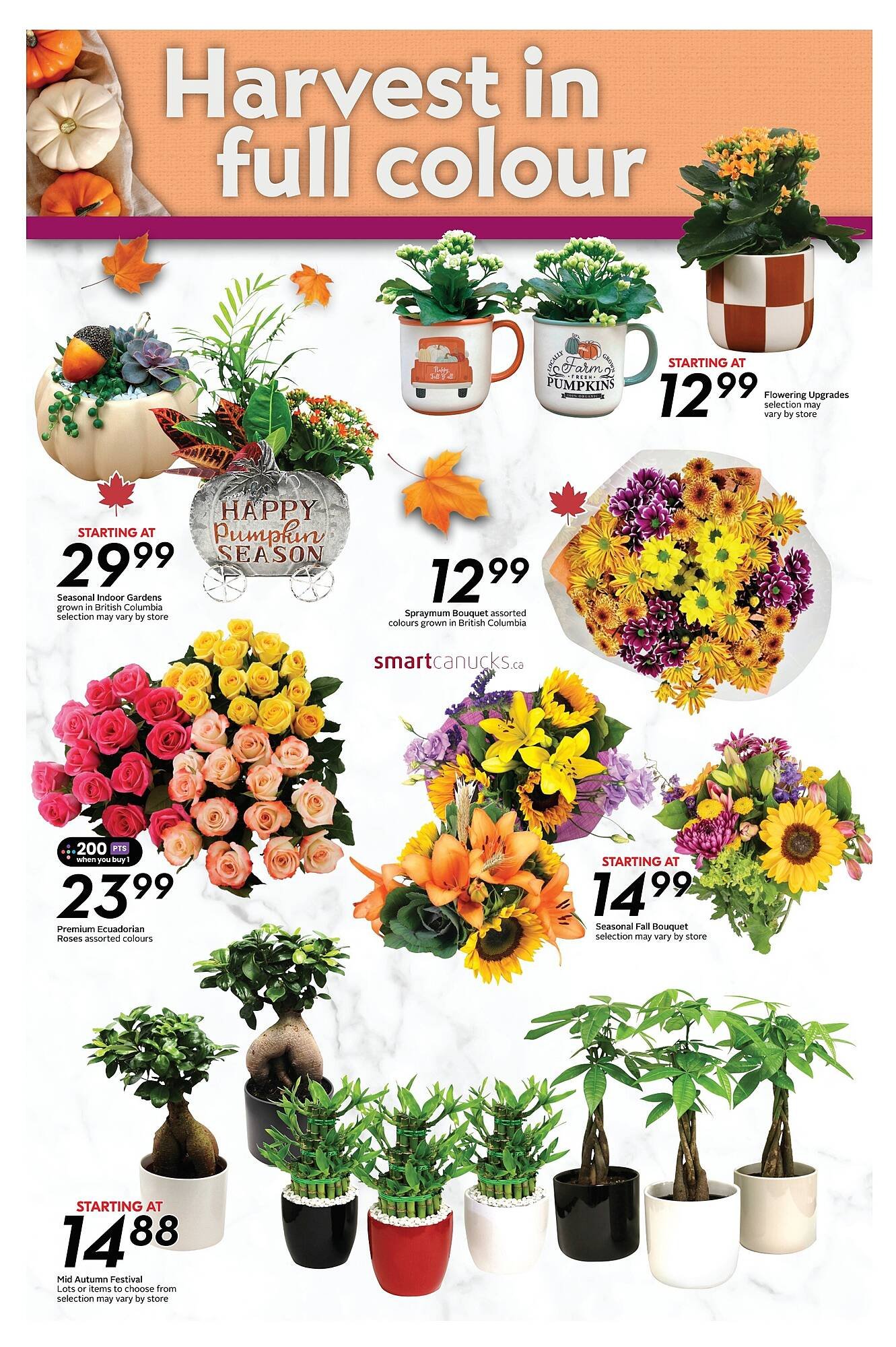 Safeway flyer