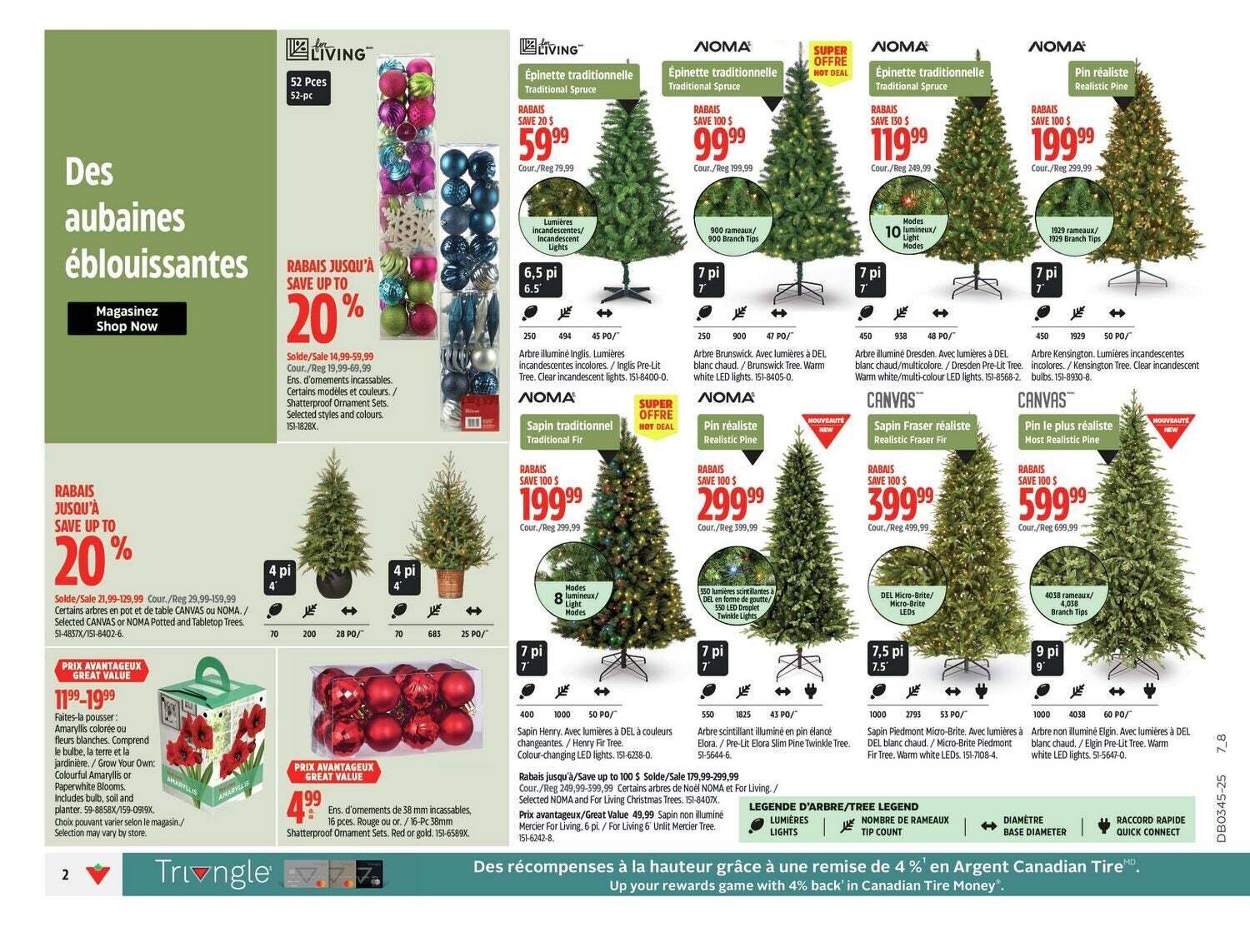 Canadian Tire flyer