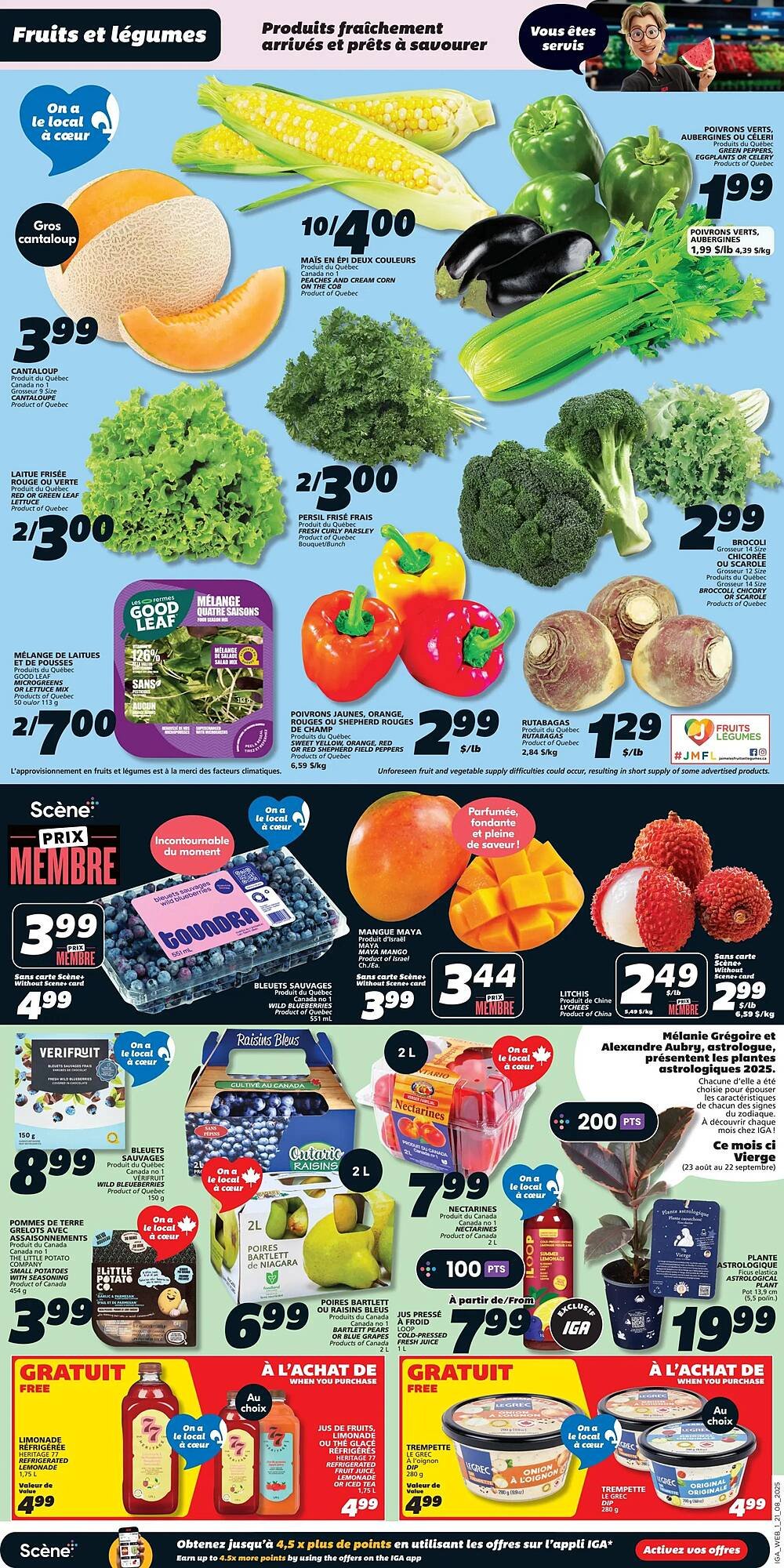 IGA flyer