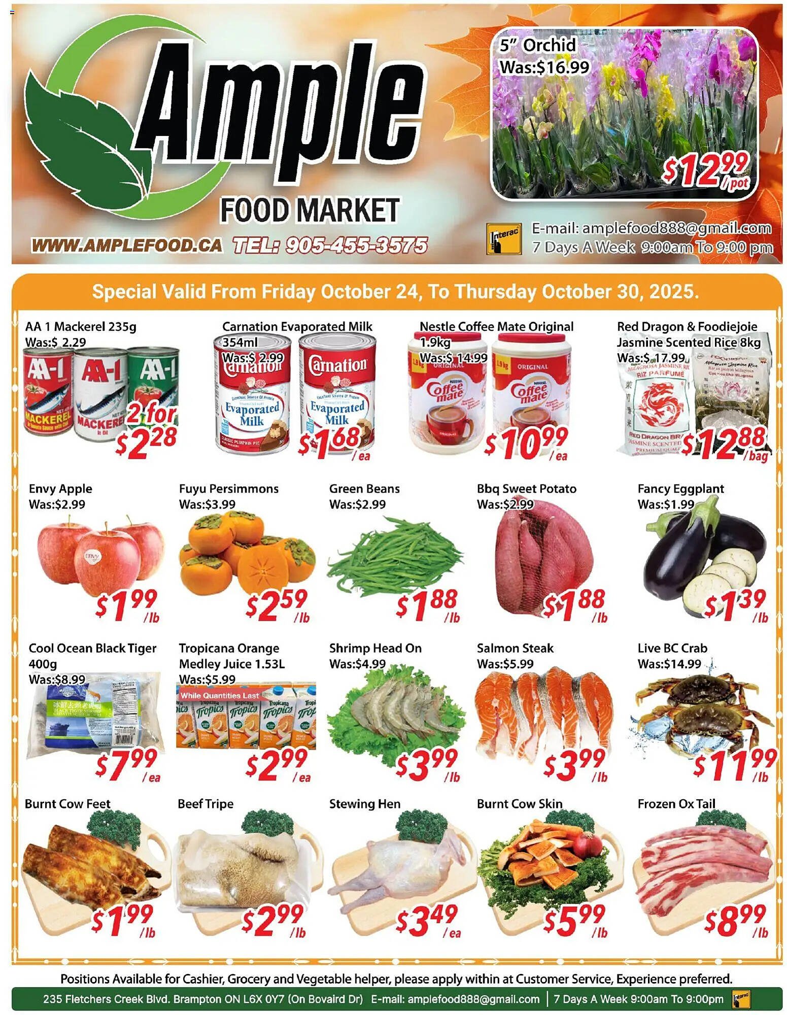 Ample Food Market flyer (2025-10-24 - 2025-10-31) | 1