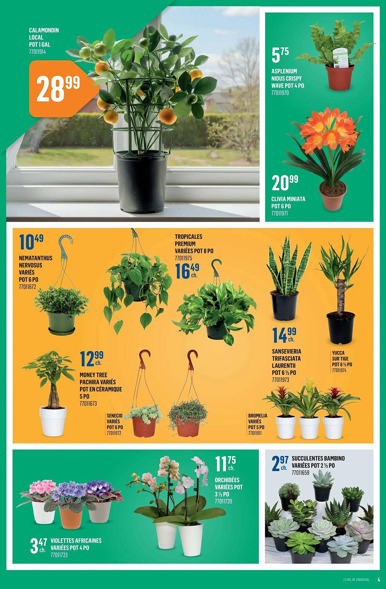 Canac flyer (2026-02-26 - 2026-03-04) | 4