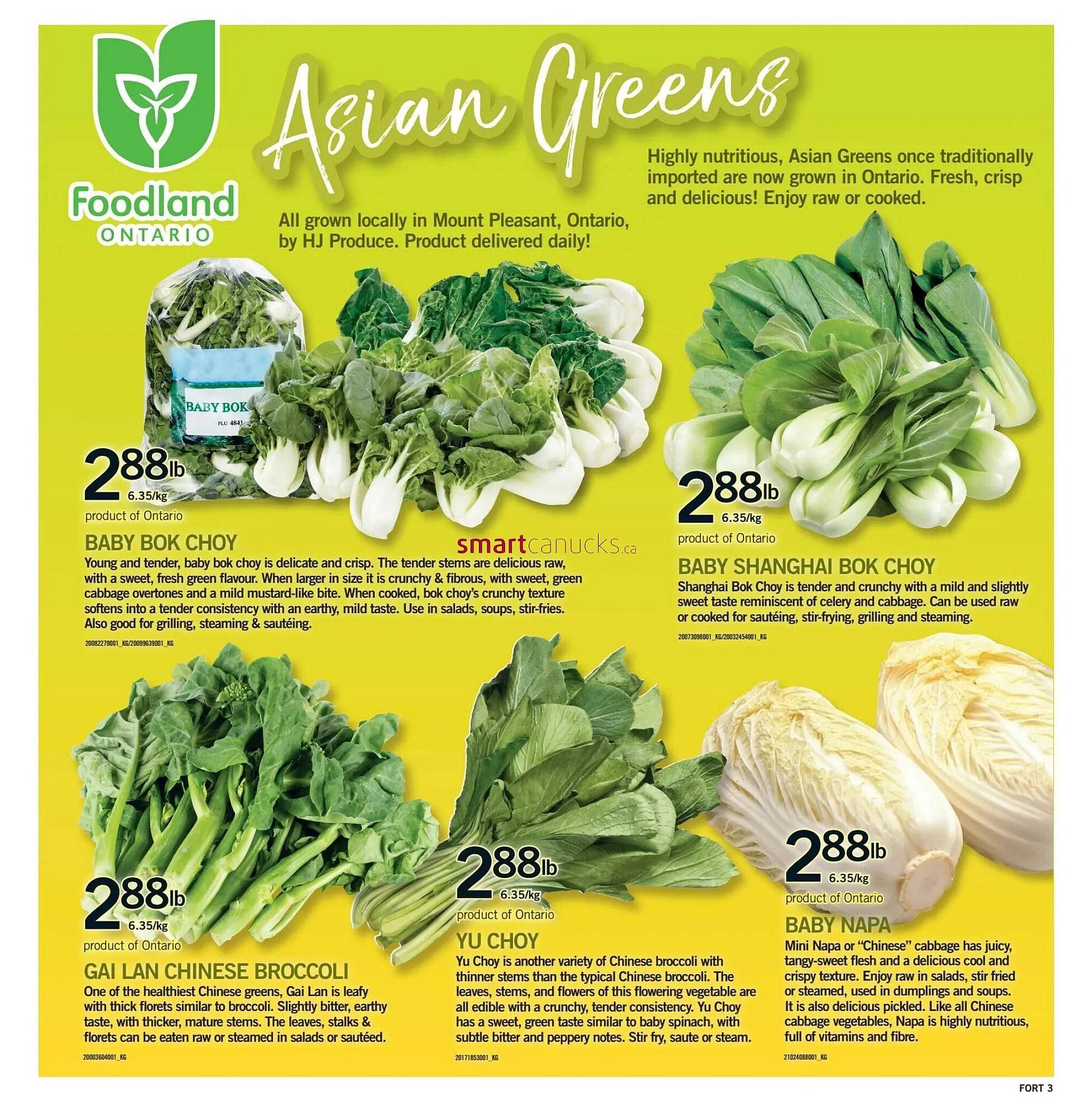Fortinos flyer
