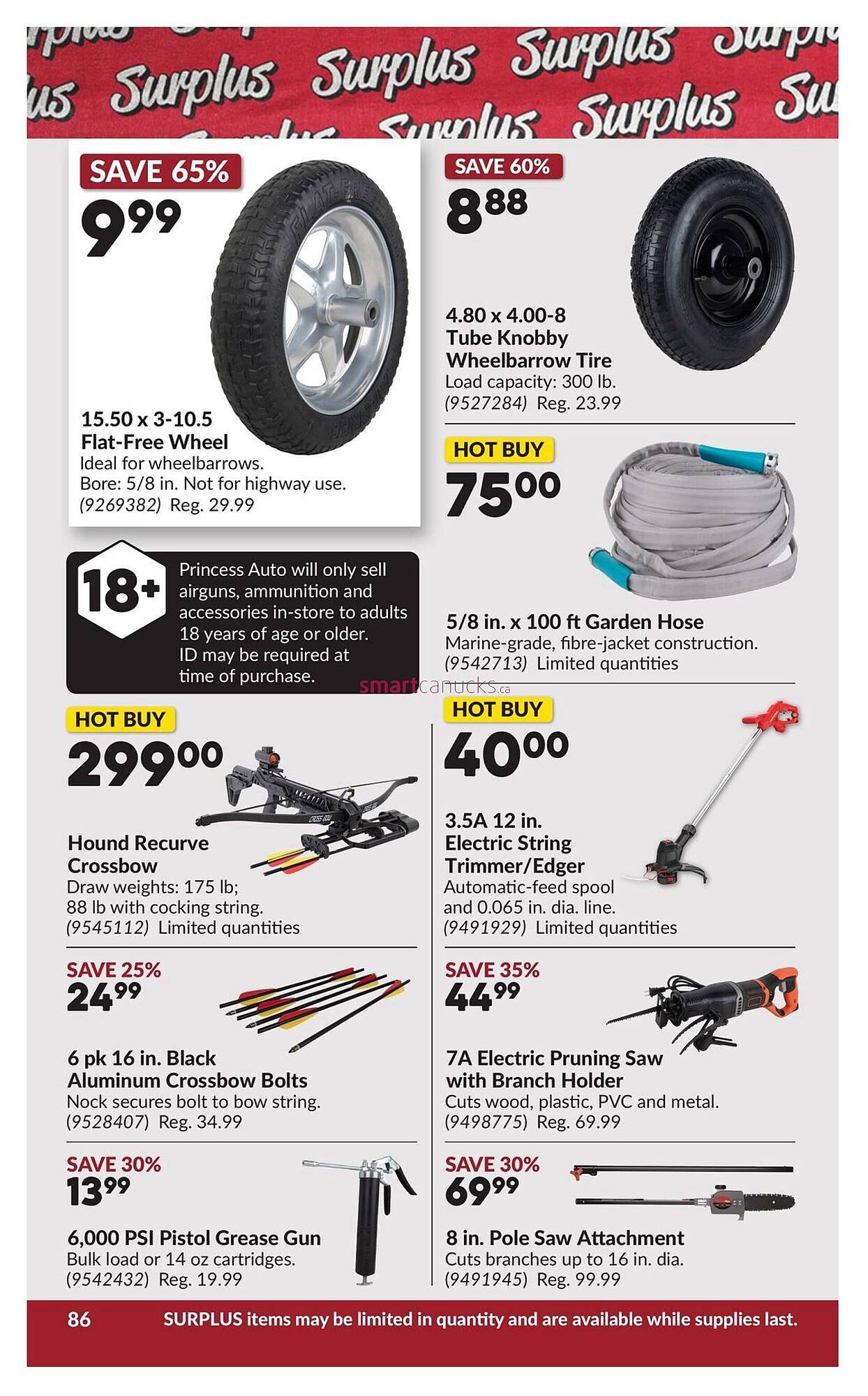 Princess Auto flyer (2026-03-10 - 2026-03-22) | 91