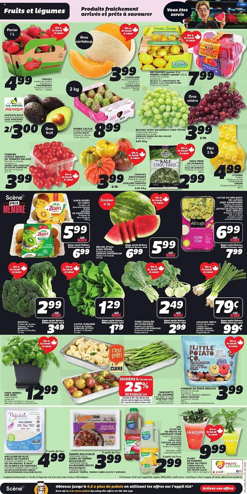 IGA flyer
