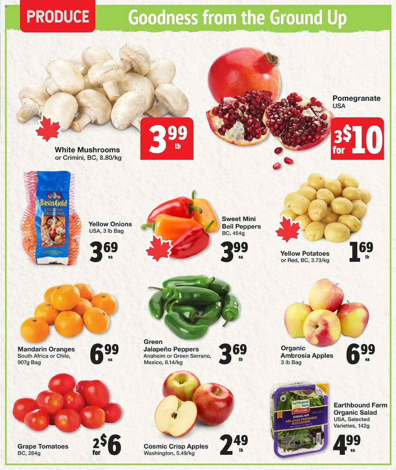 Quality Foods flyer (2025-10-23 - 2025-10-29) | 3
