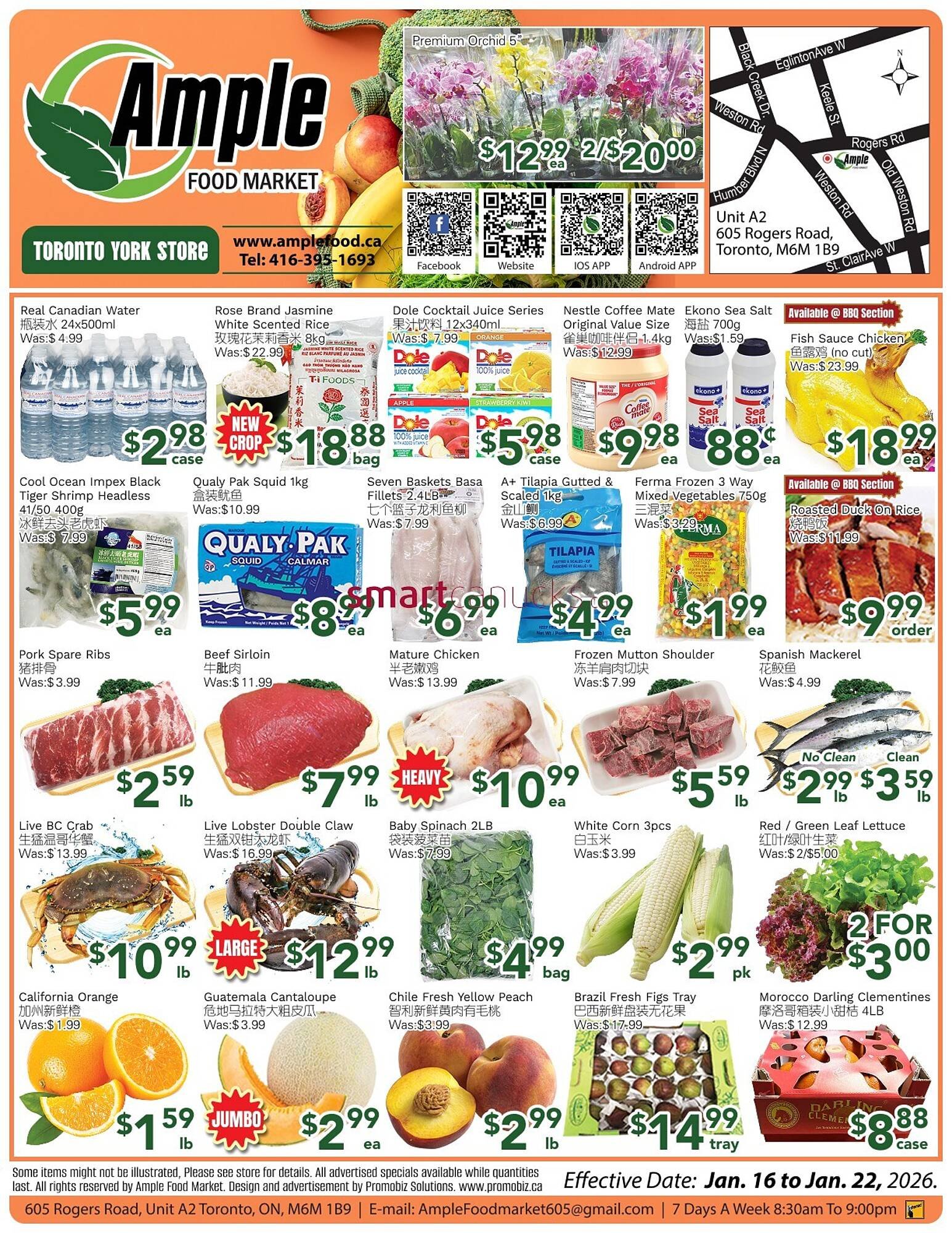 Ample Food Market flyer (2026-01-16 - 2026-01-22) | 1