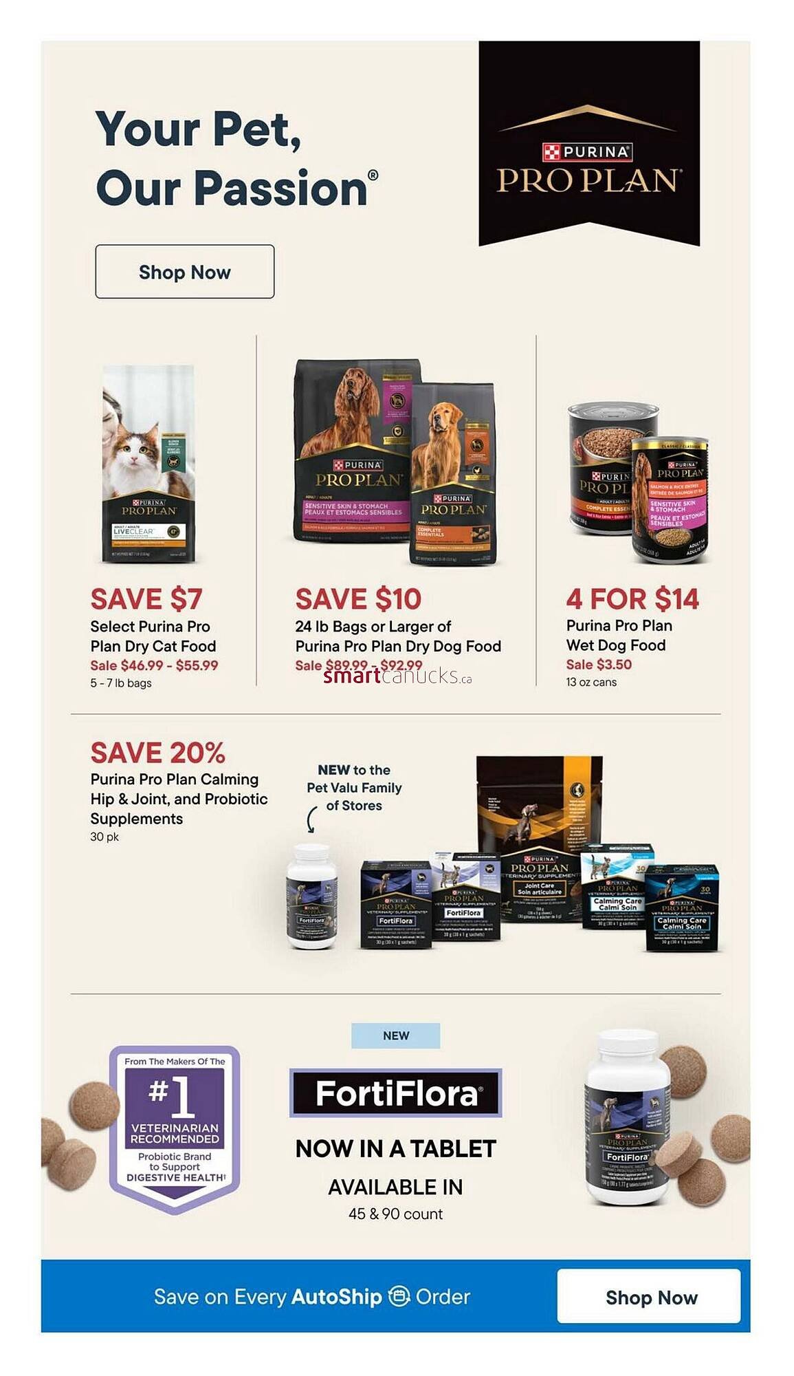 Petvalu flyer