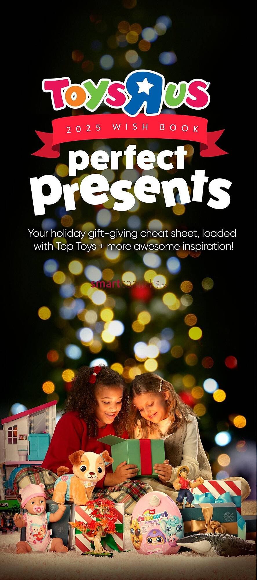 Toys R us flyer