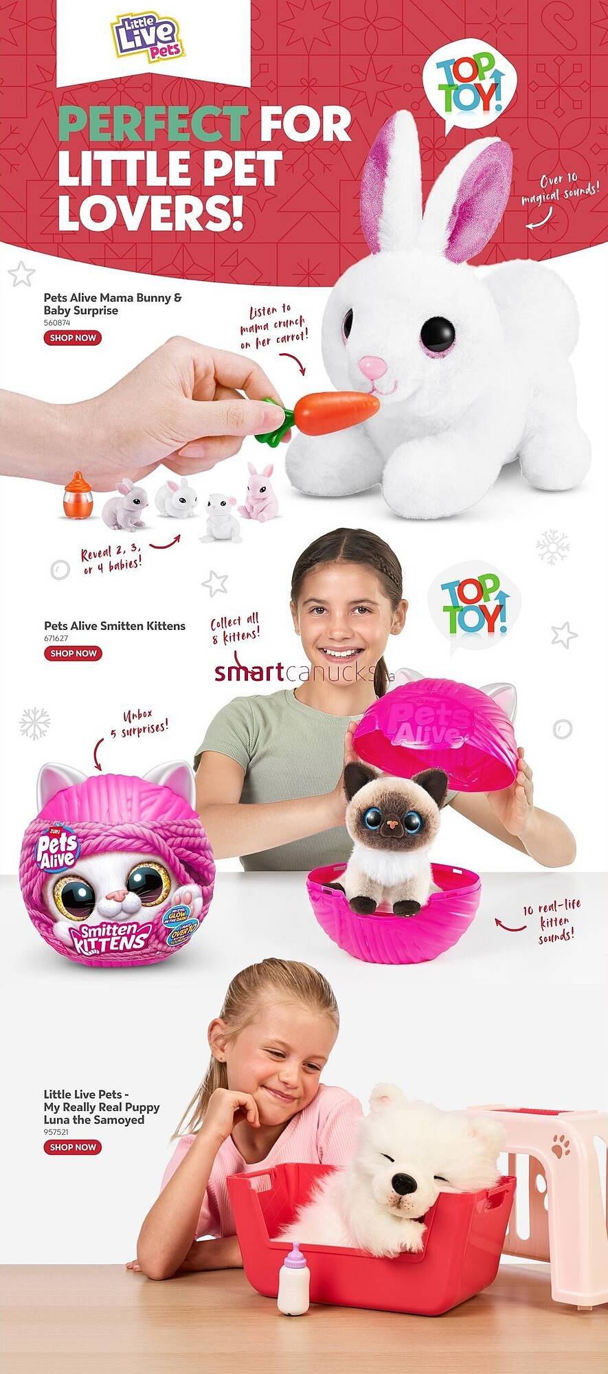 Toys R us flyer