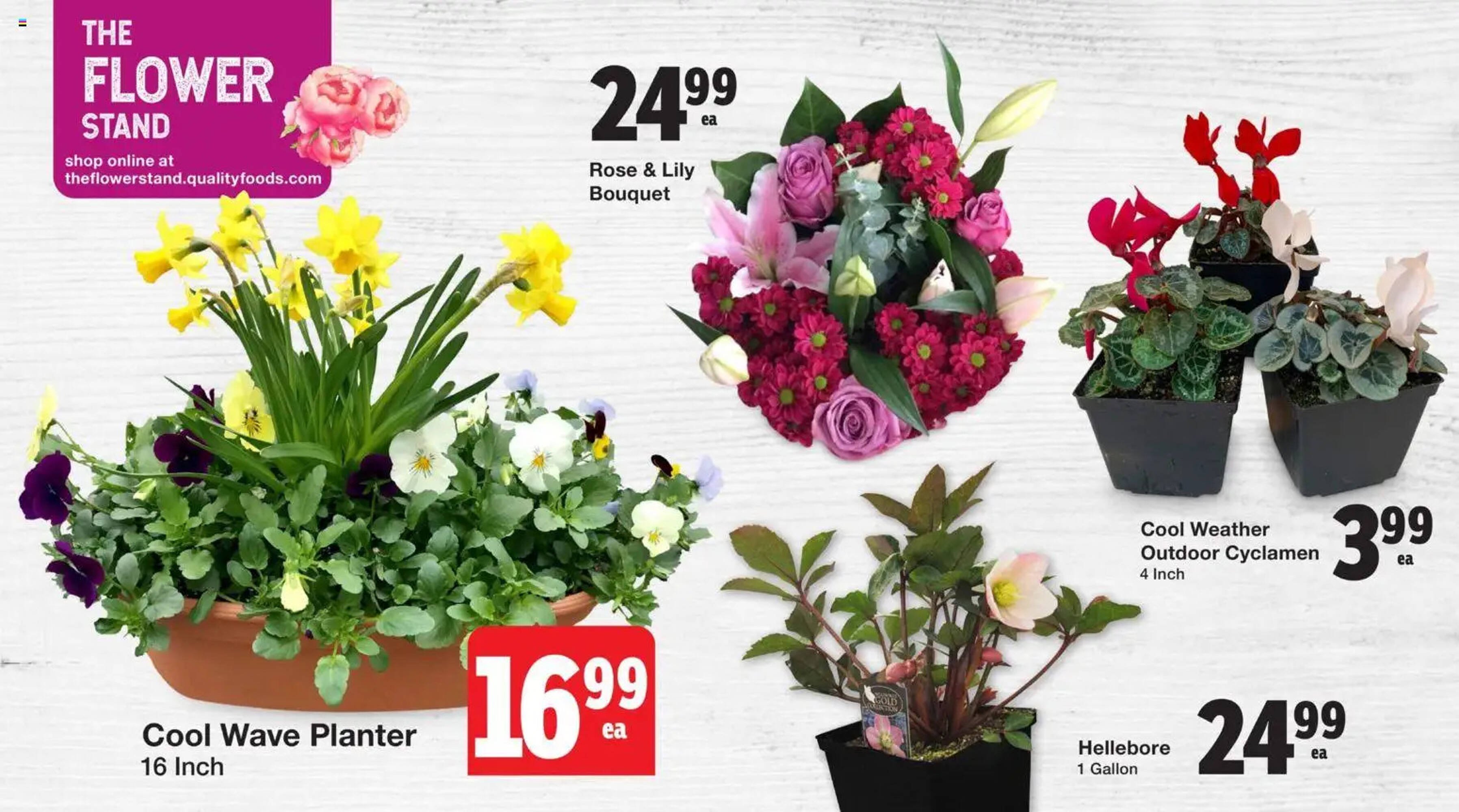 Quality Foods flyer (2026-02-26 - 2026-03-04) | 3