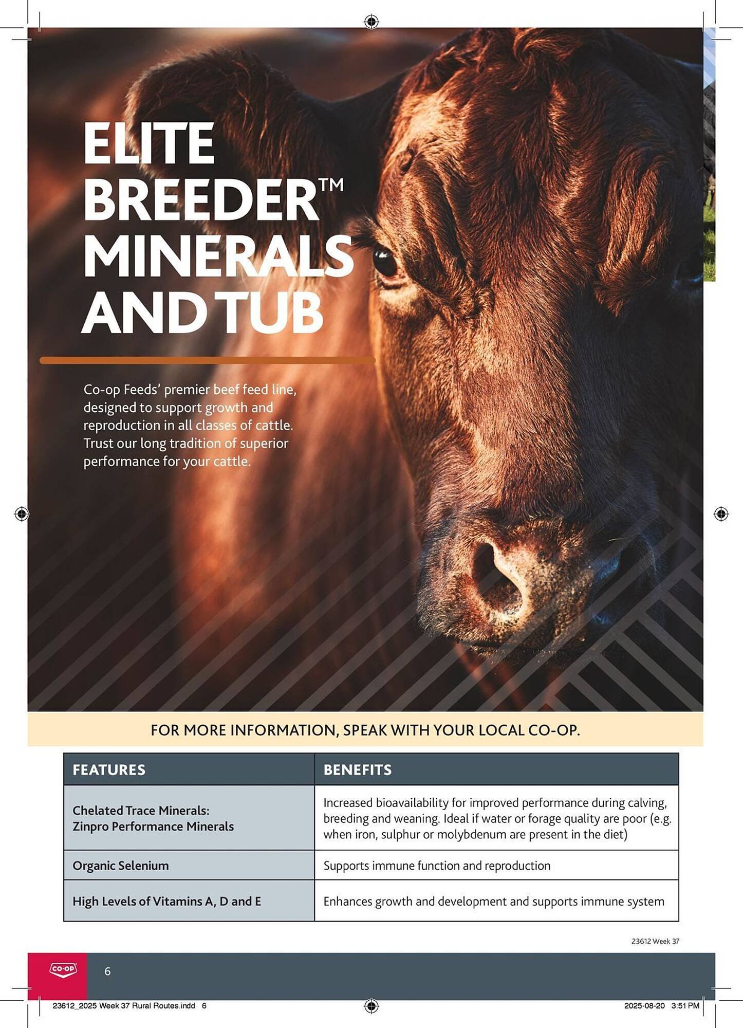 Co-op flyer