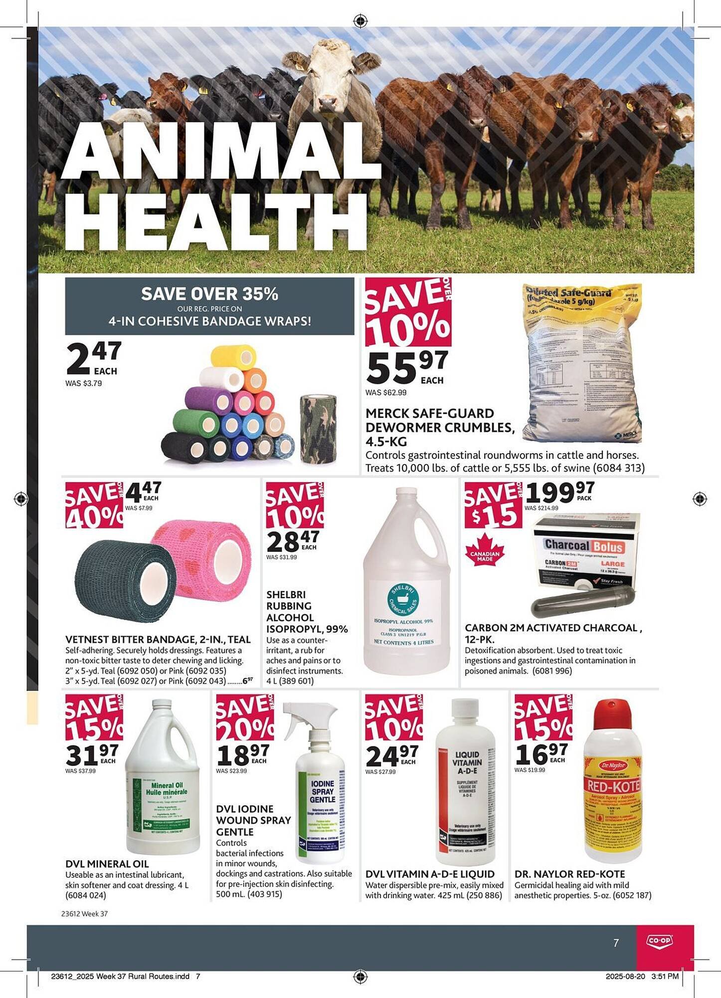 Co-op flyer