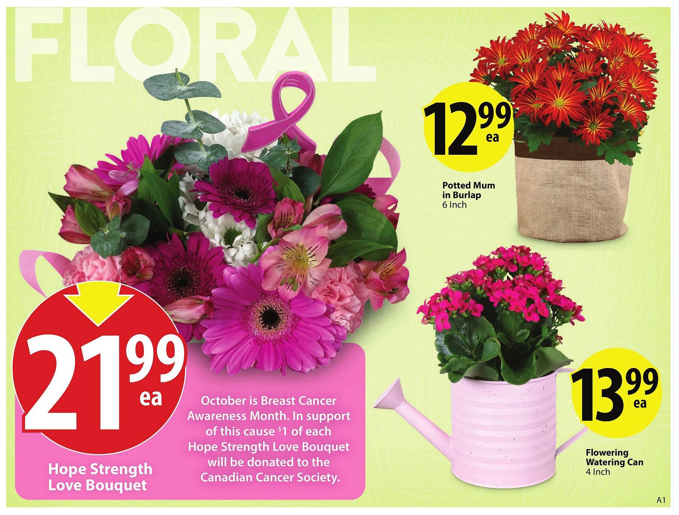 Save on Foods flyer