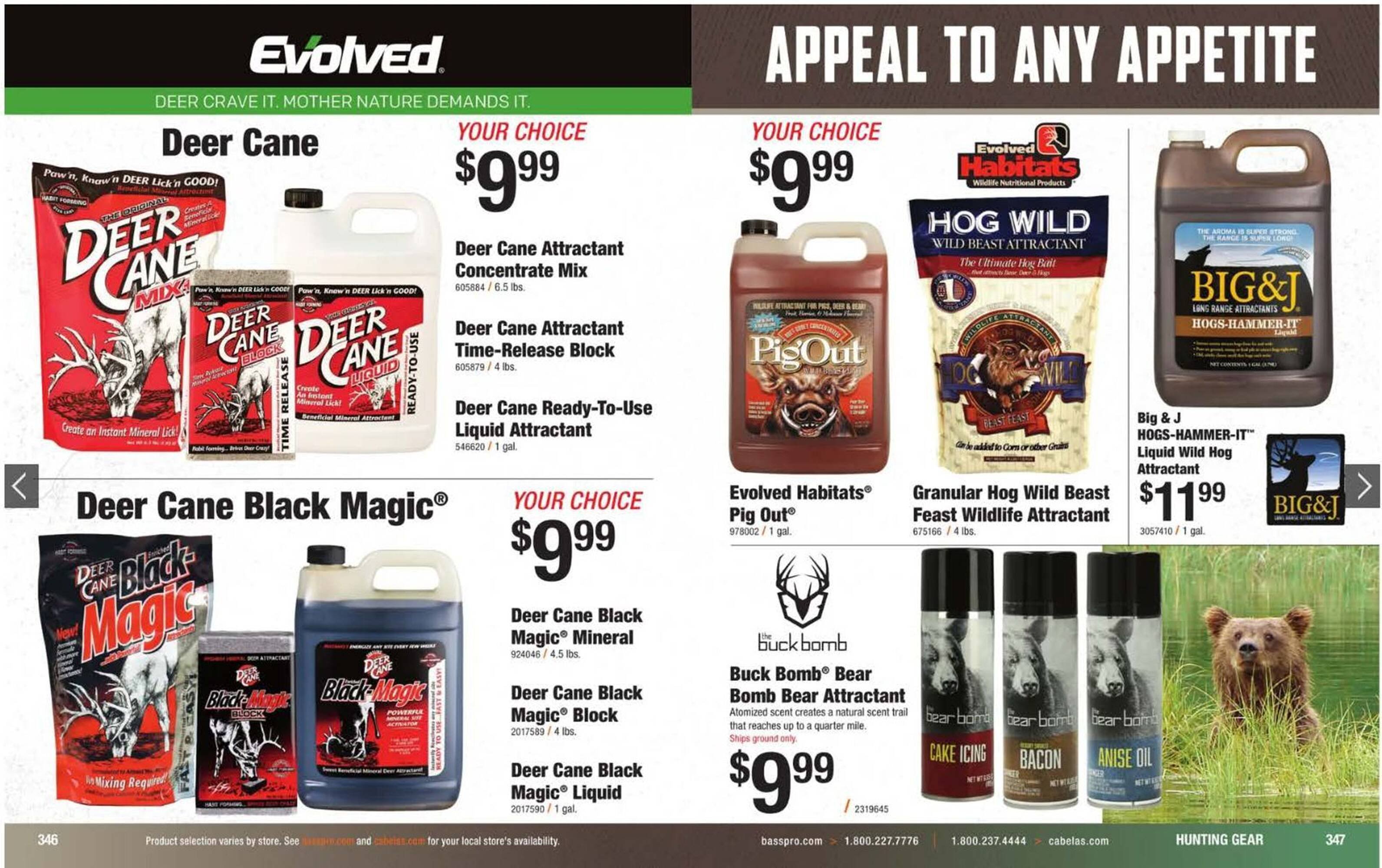 Bass Pro flyer