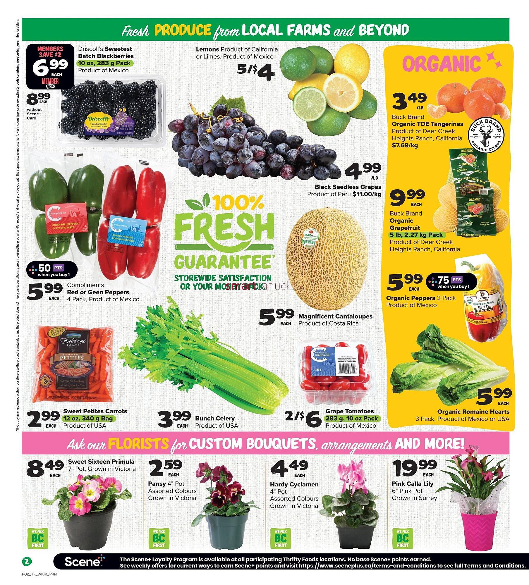 Thrifty Foods flyer (2026-02-05 - 2026-02-11) | 3