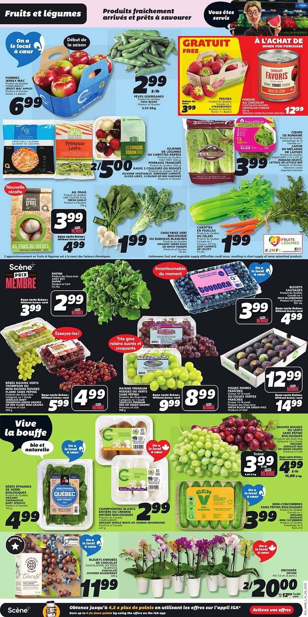 IGA flyer