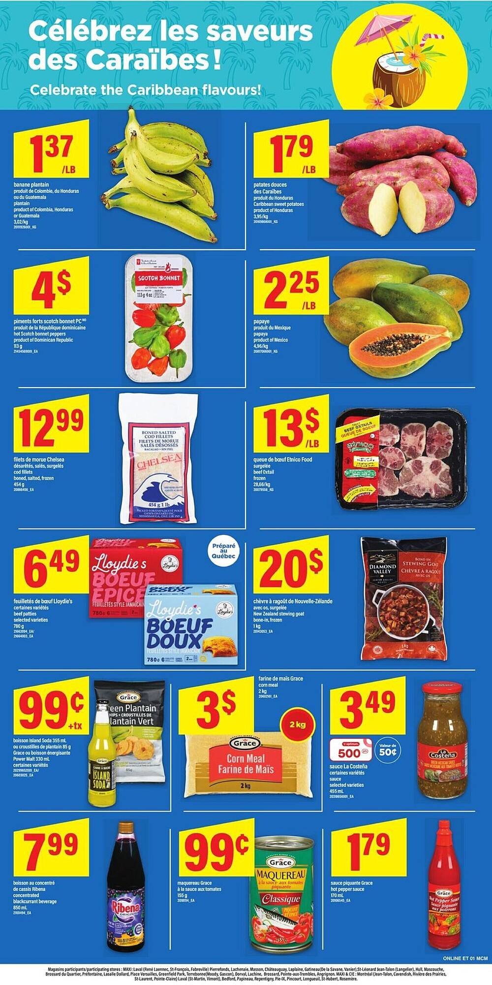 Maxi flyer