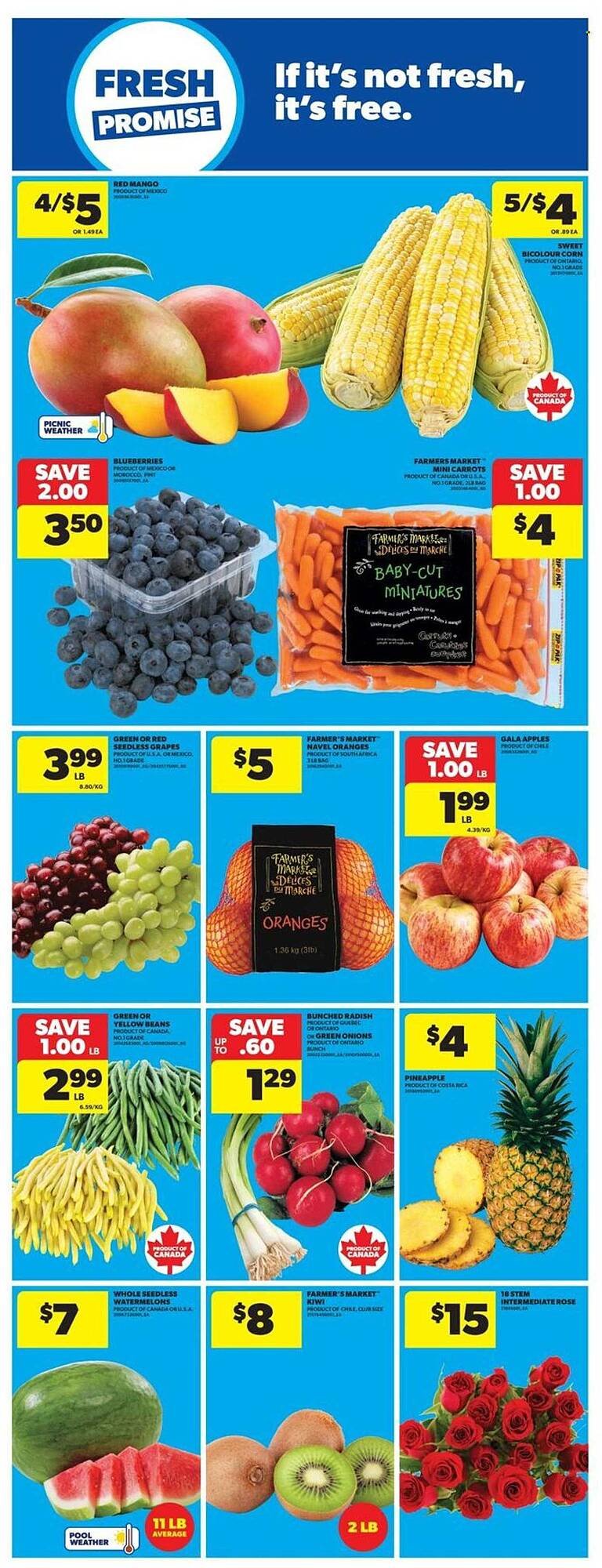 Real Canadian Superstore flyer