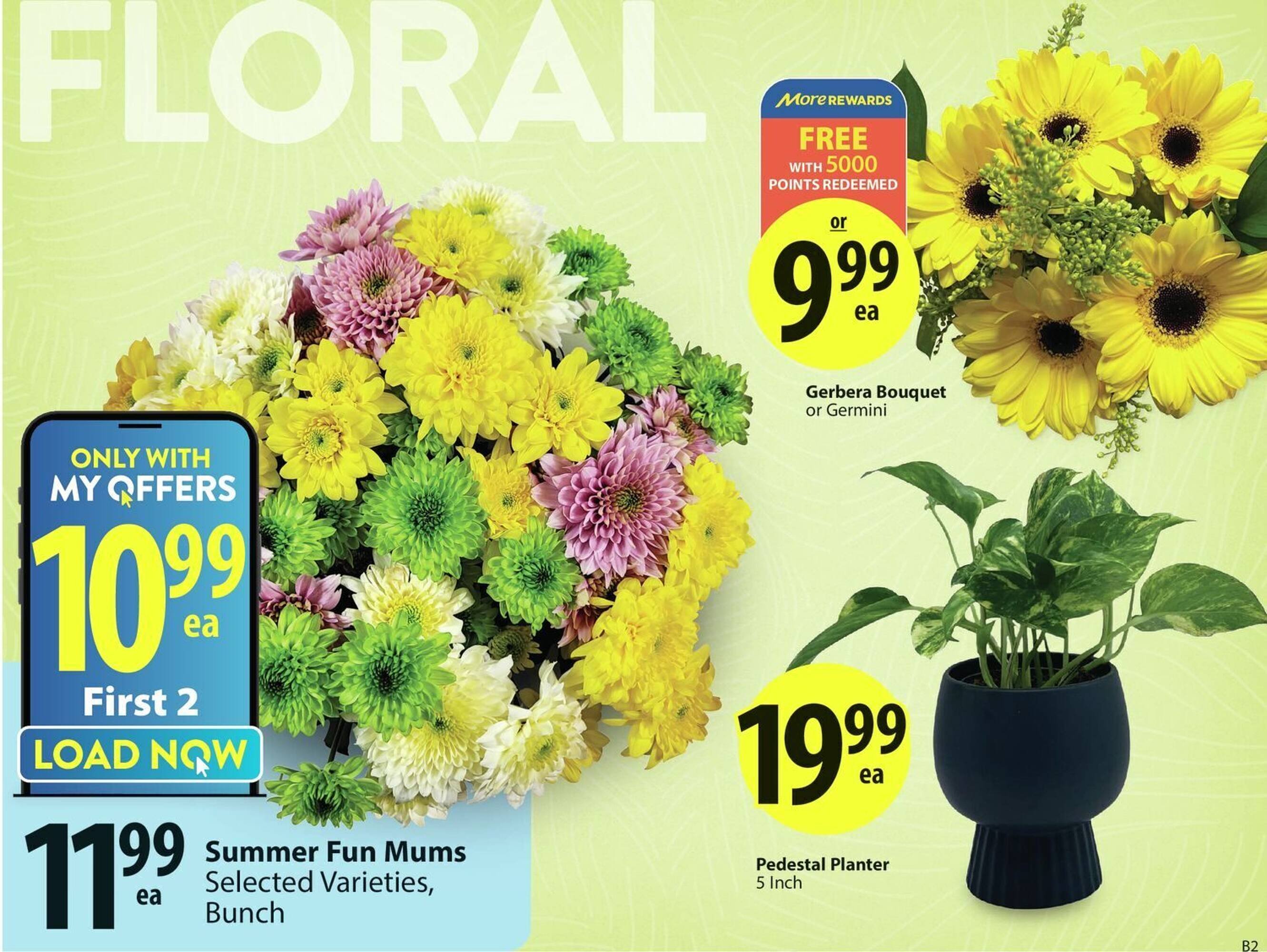Save on Foods flyer