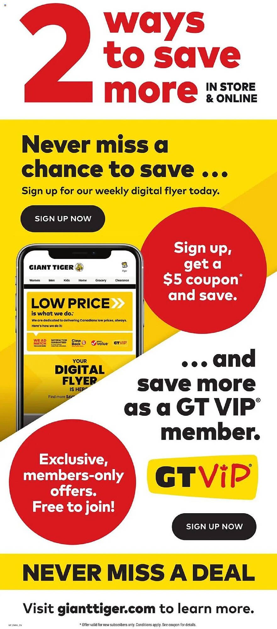 Giant Tiger flyer