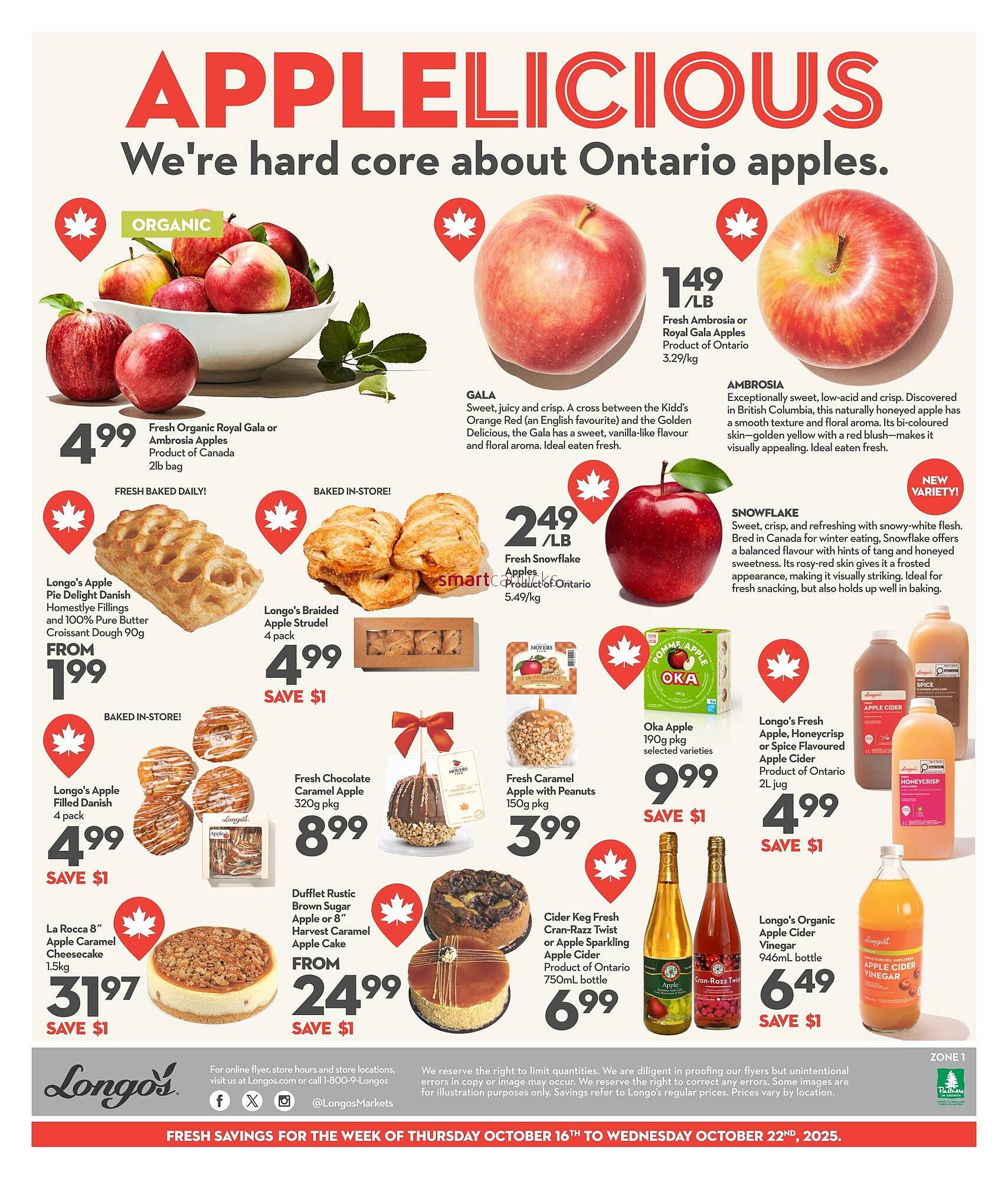 Longo's flyer