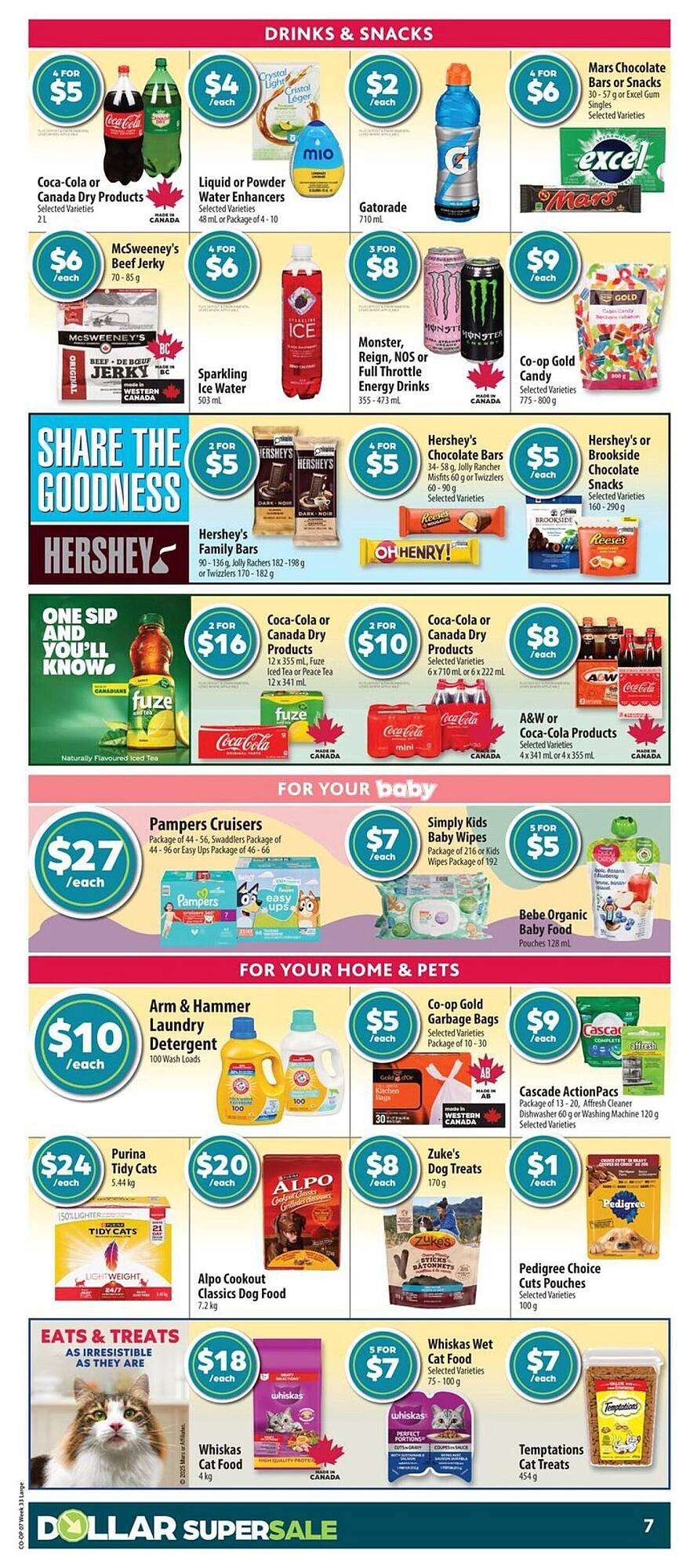 Co-op flyer