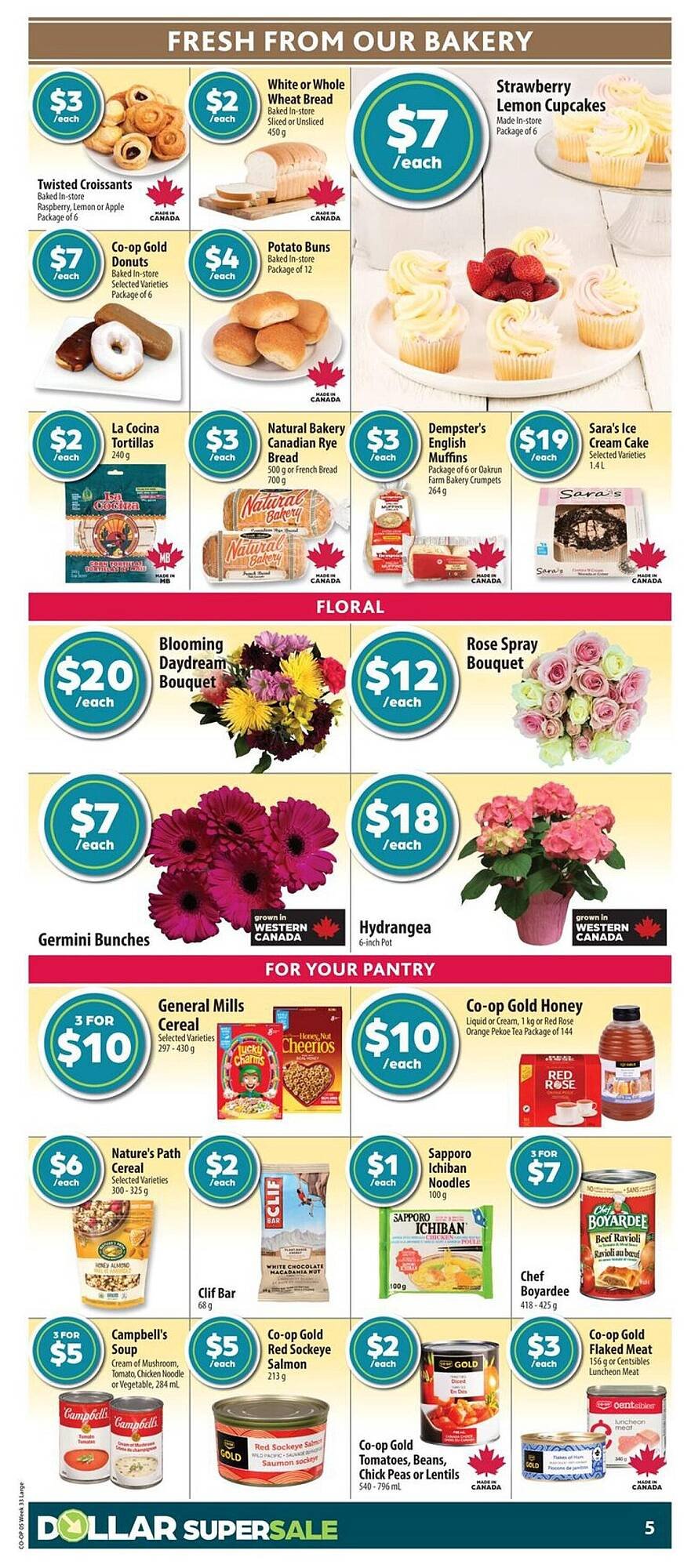 Co-op flyer