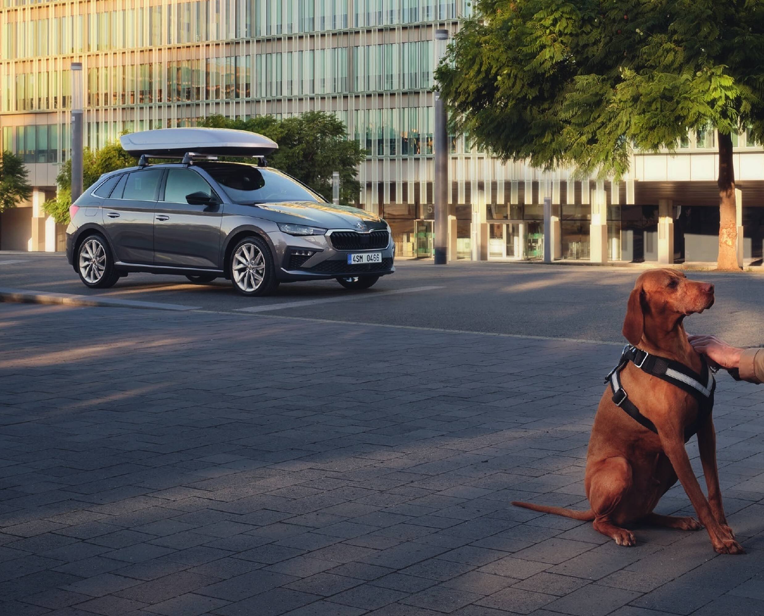 Škoda leták (2026-03-27 - 2026-12-31)