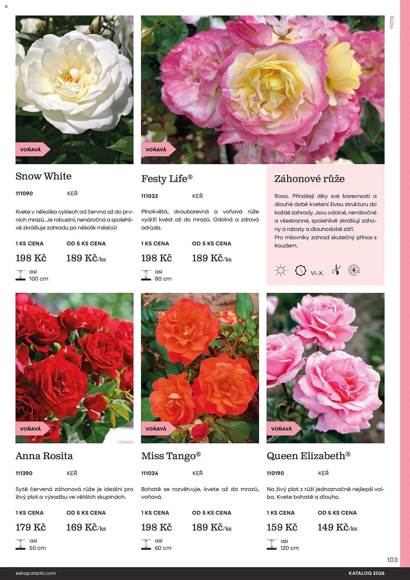 Starkl katalog (2026-02-25 - 2026-12-31)
