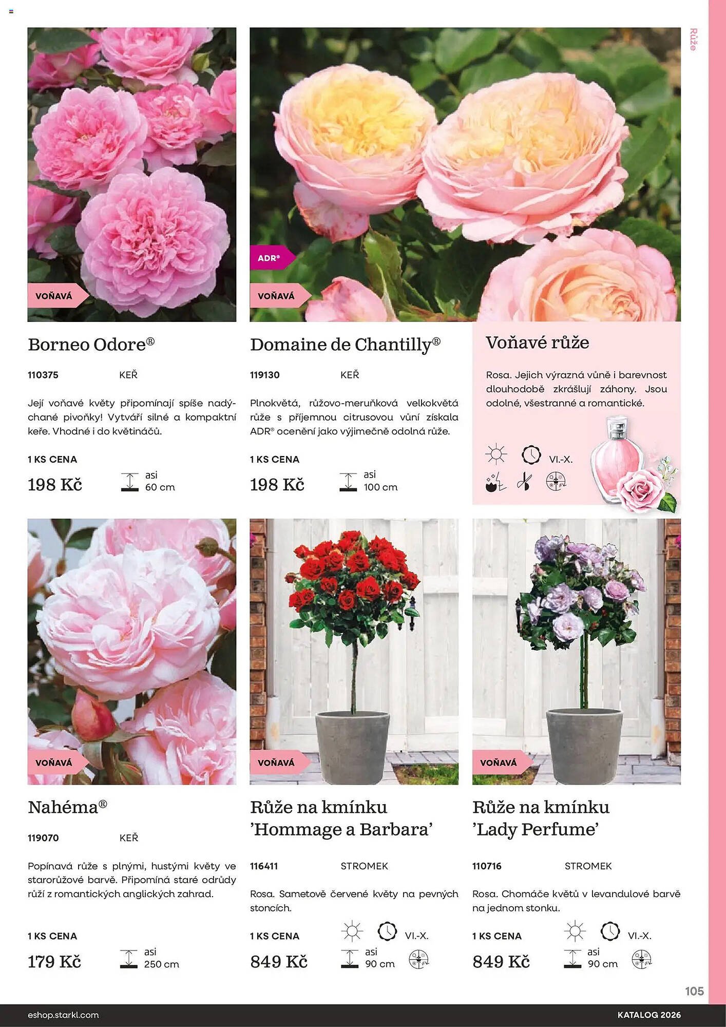 Starkl katalog (2026-02-25 - 2026-12-31)