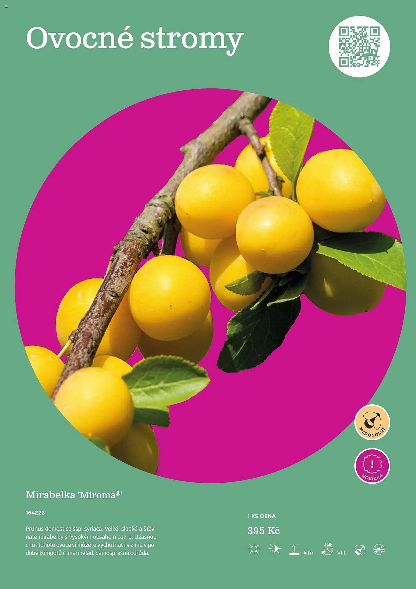 Starkl katalog (2026-02-25 - 2026-12-31)