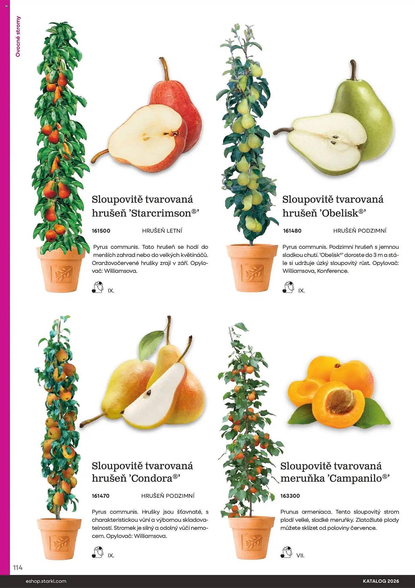 Starkl katalog (2026-02-25 - 2026-12-31)