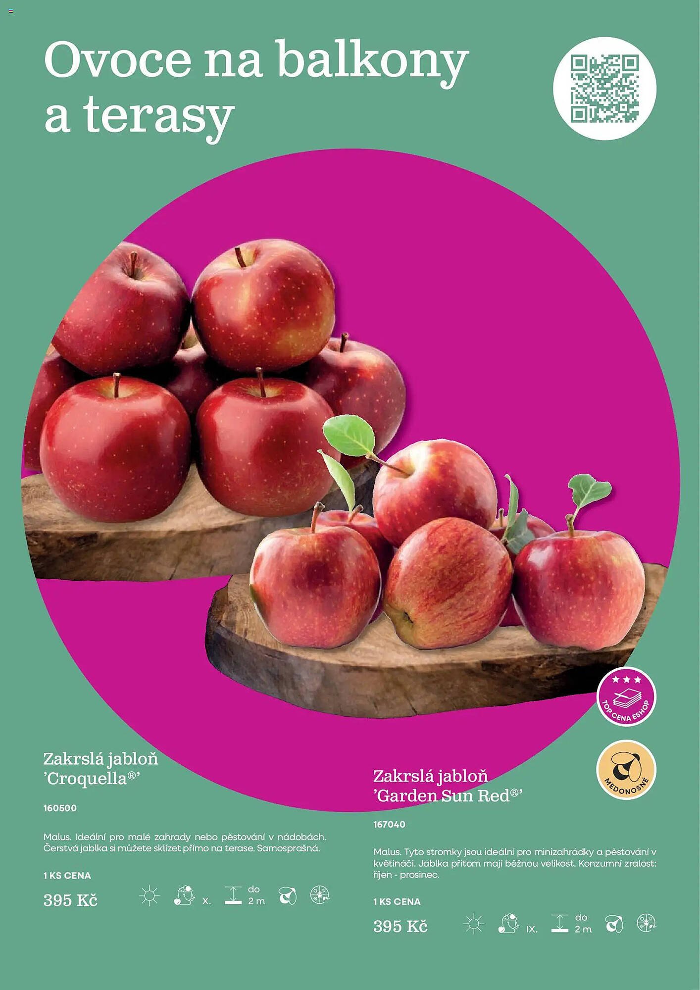 Starkl katalog (2026-02-25 - 2026-12-31)