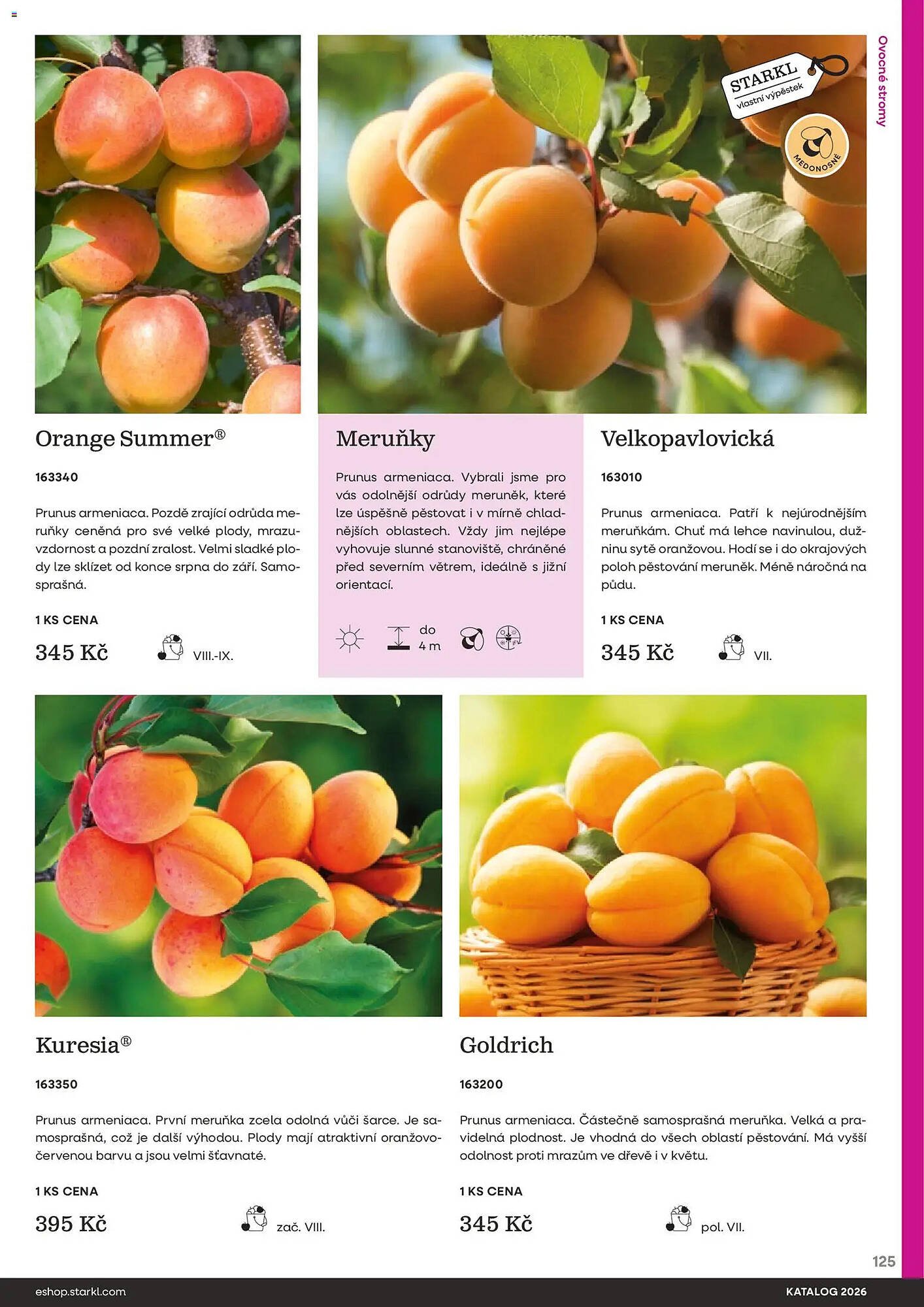 Starkl katalog (2026-02-25 - 2026-12-31)