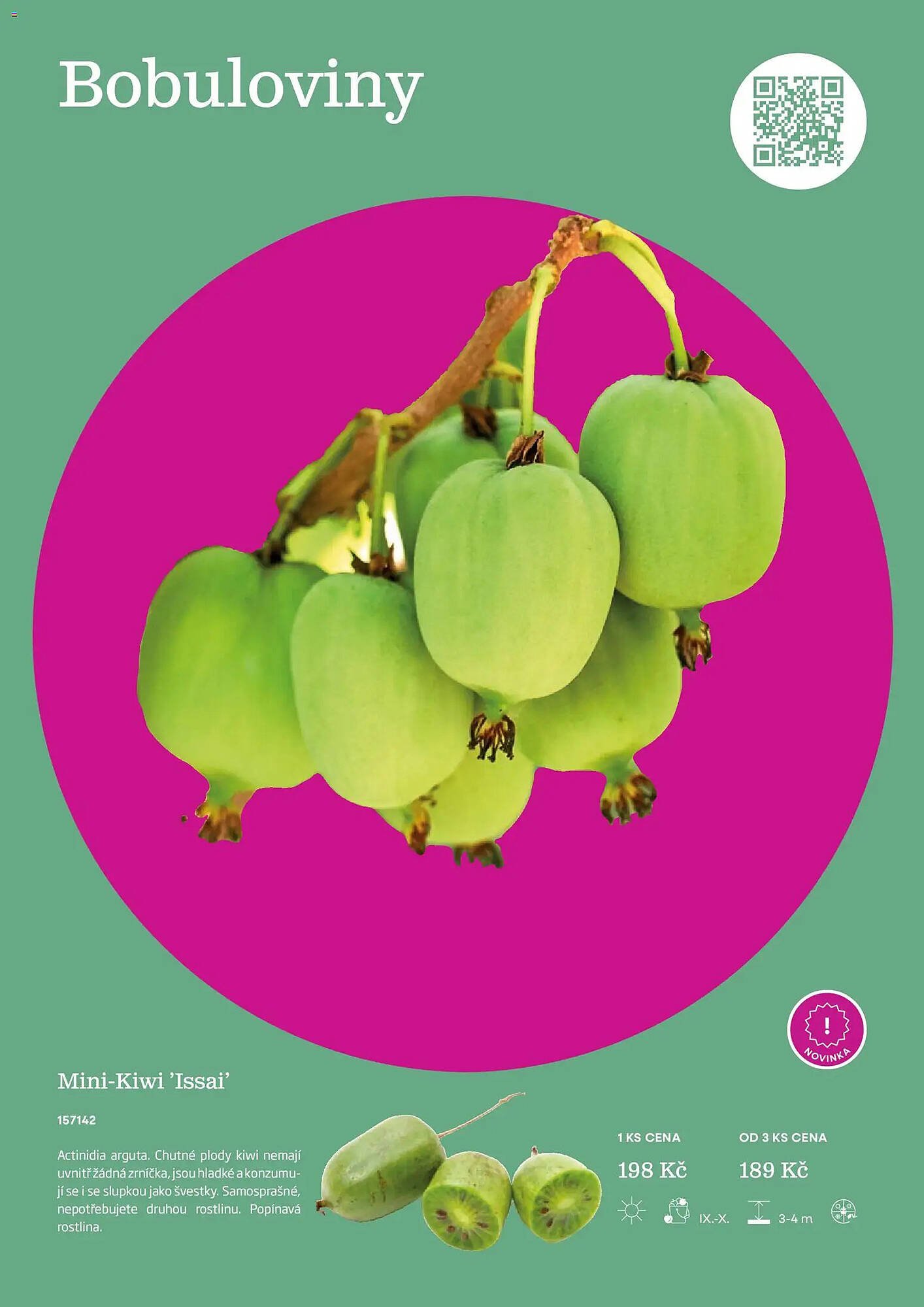 Starkl katalog (2026-02-25 - 2026-12-31)