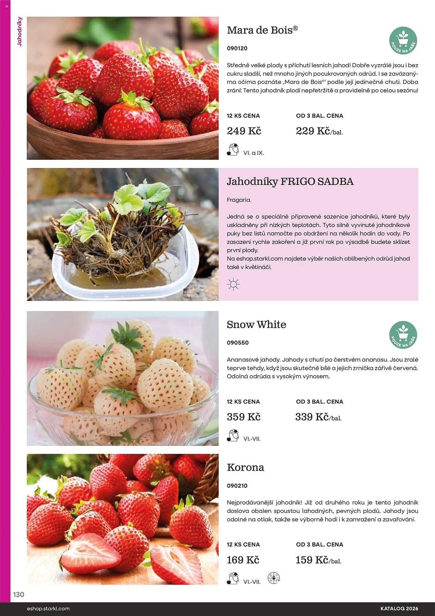 Starkl katalog (2026-02-25 - 2026-12-31)