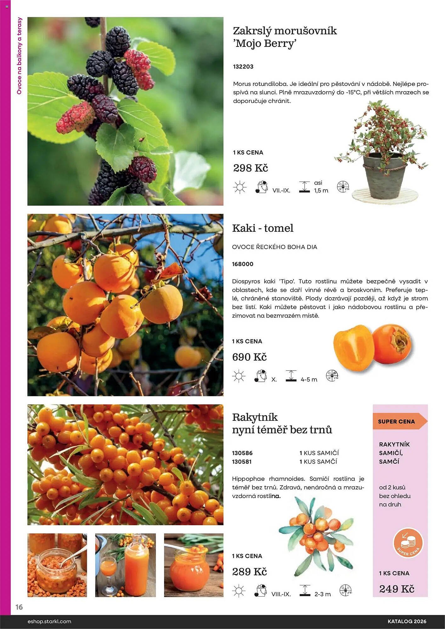 Starkl katalog (2026-02-25 - 2026-12-31)